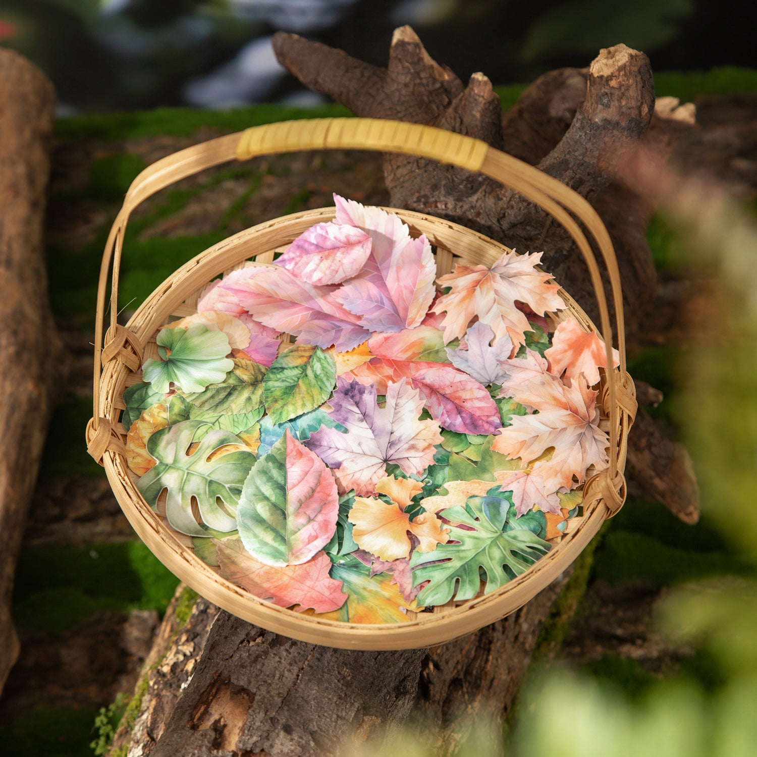 A leaf Paper Sticker