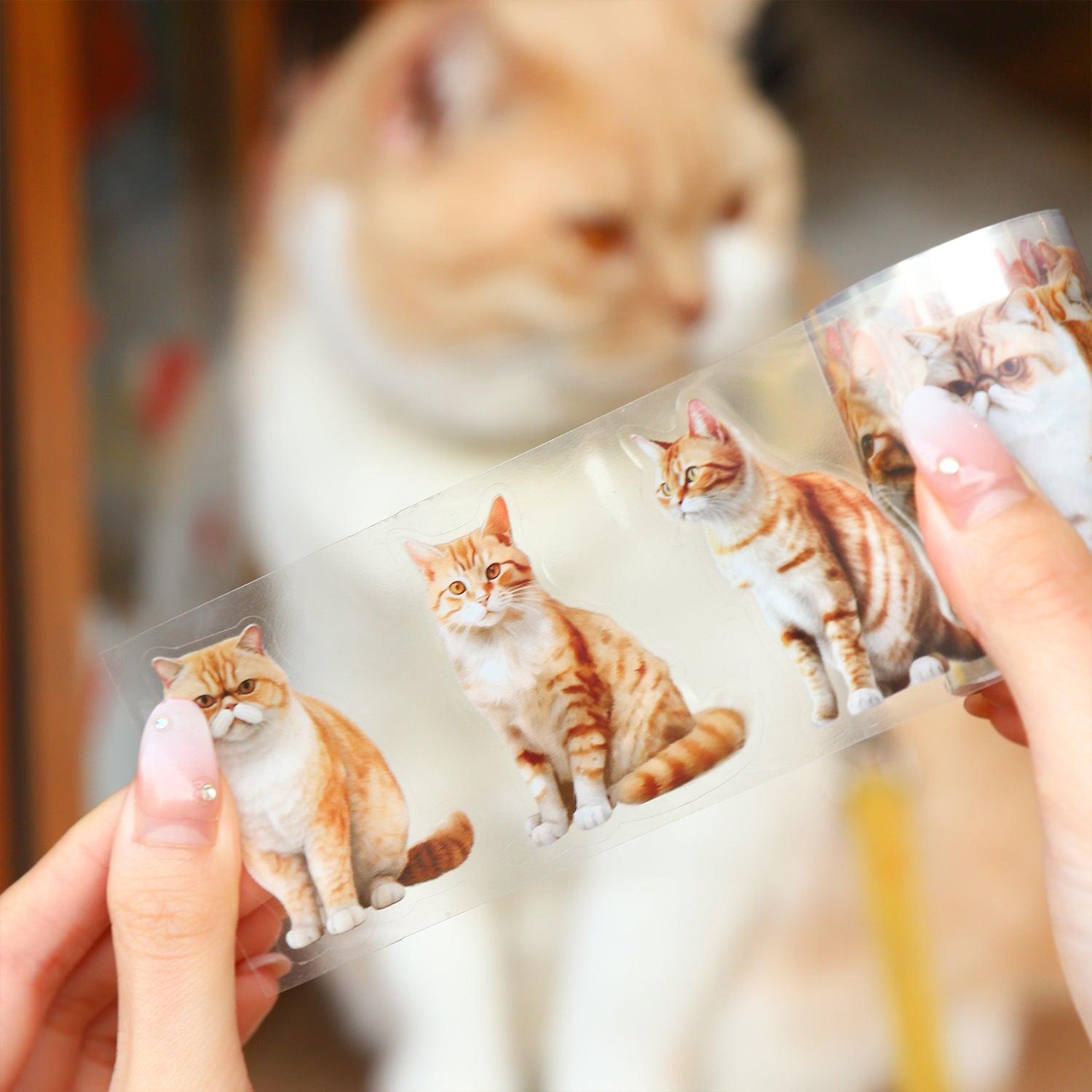 Cat Pre-cut  Scrap booking Journal PET Tape