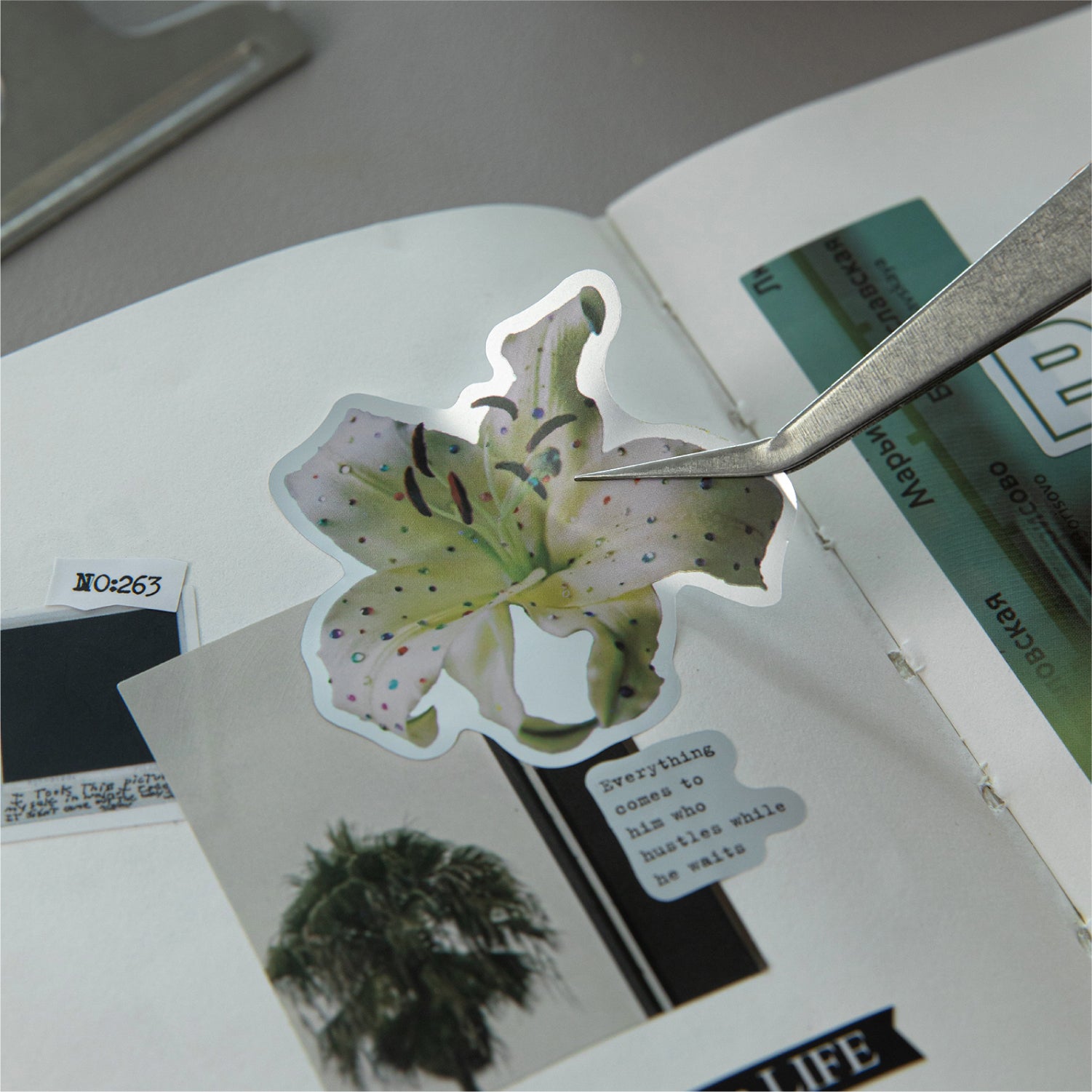 Flower meaning to be continued PET Tape