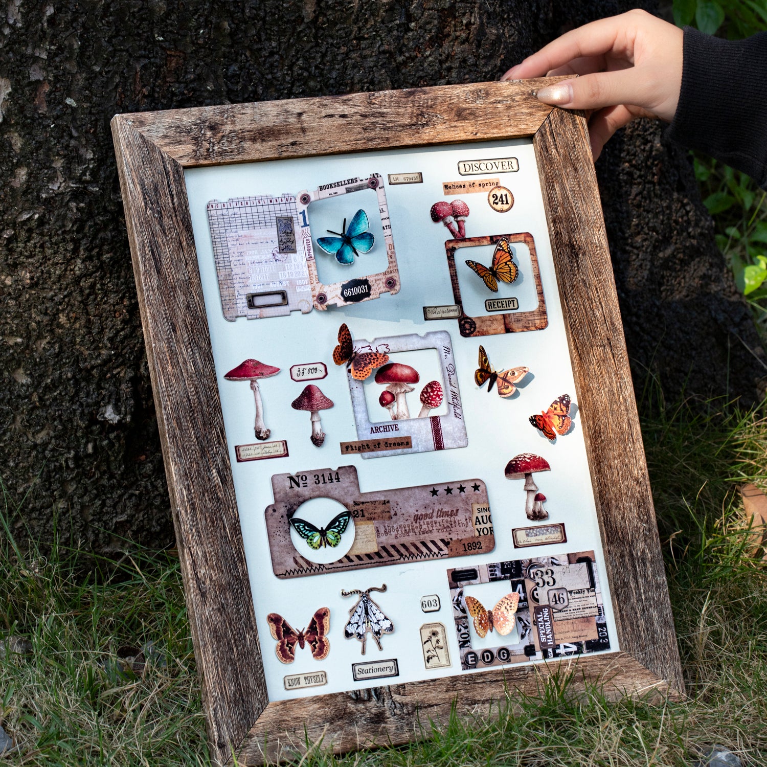 Specimen Box of Time Scrapbooking Paper