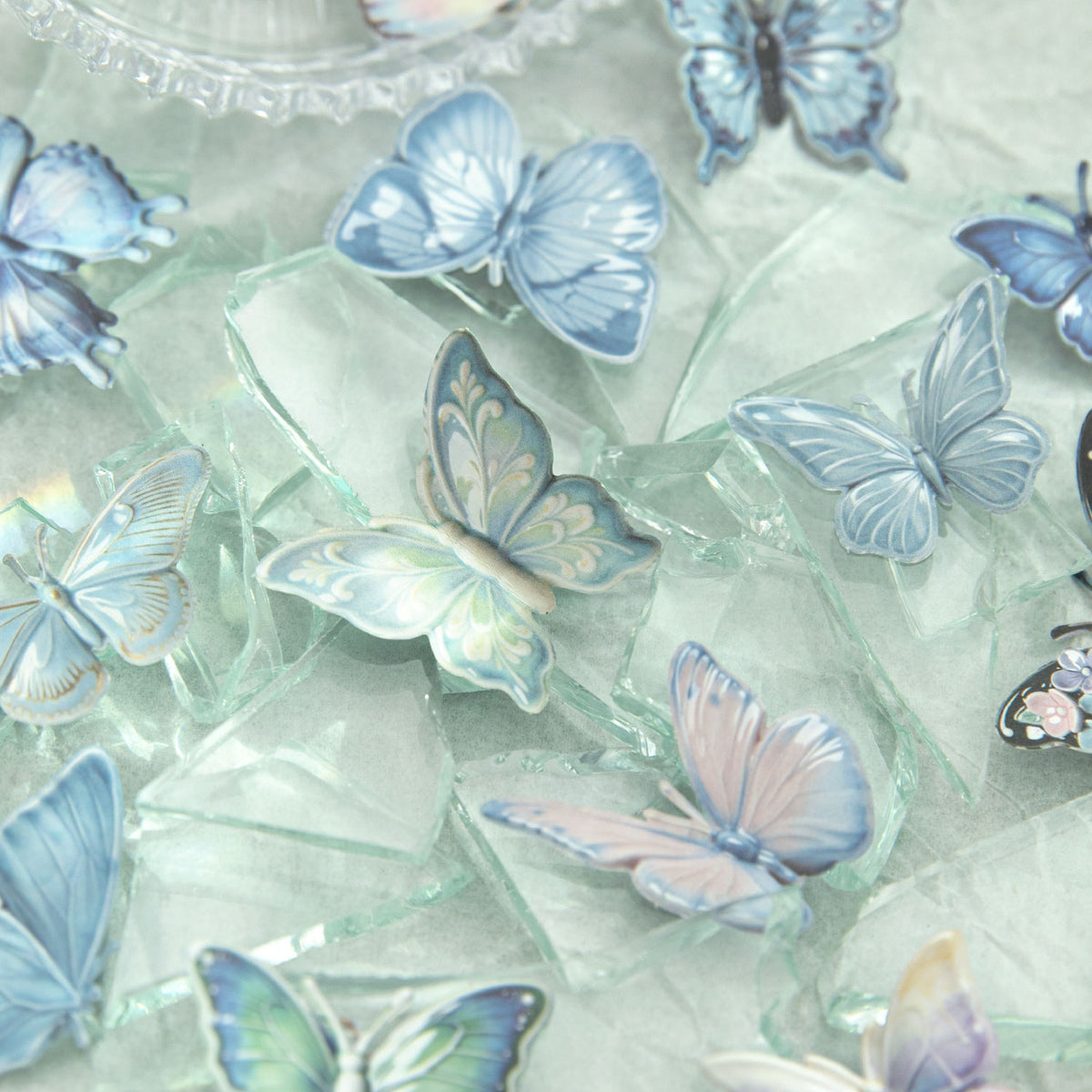 Butterfly Ceramics Museum Paper Sticker