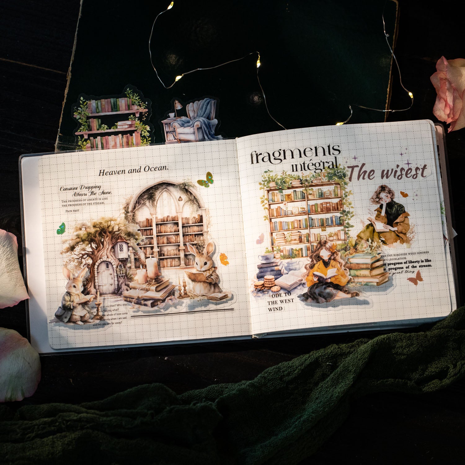 Quiet Night Reading PET Sticker