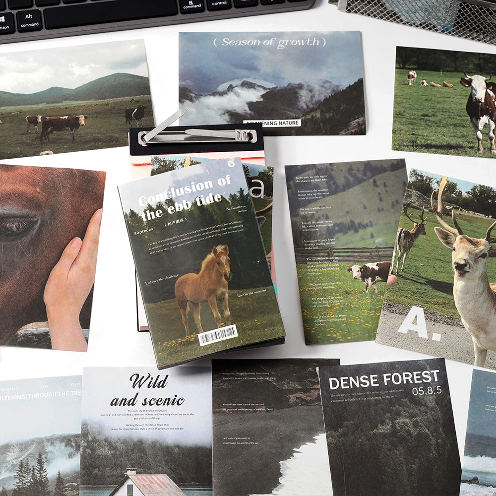 Don't Say Goodbye Paper Book