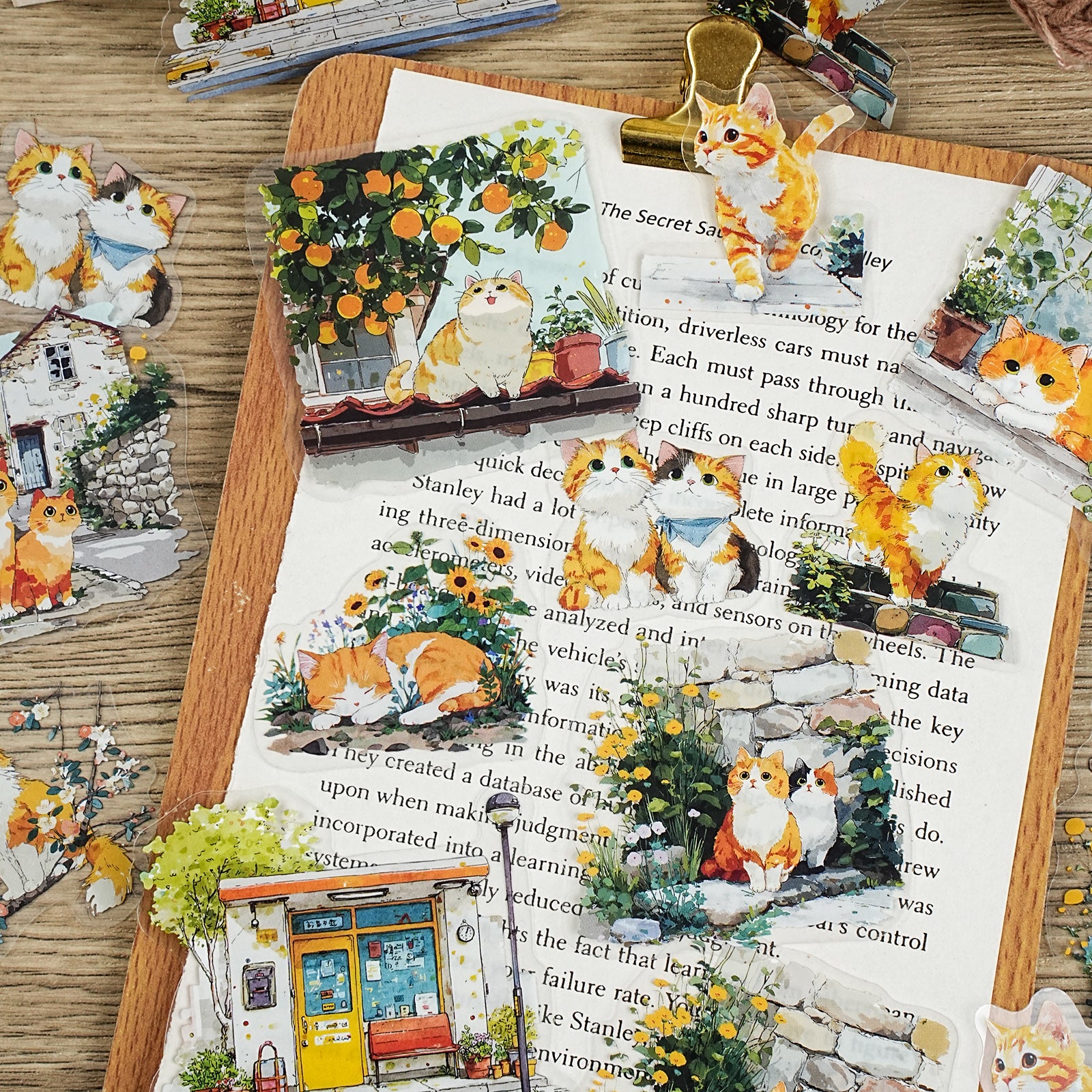 The Daily Life of a Cat PET Sticker