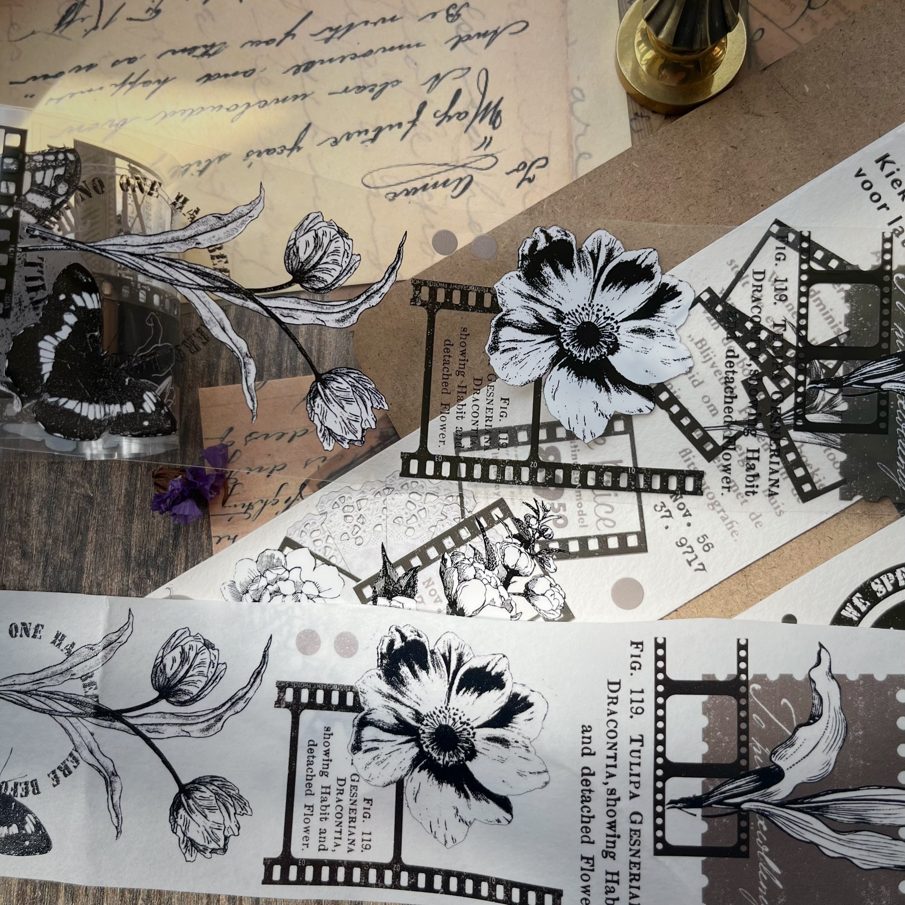 Film and Flowers Tape (5.5cm*100cm)