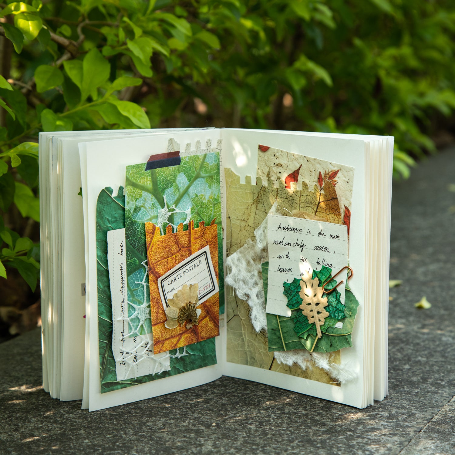 Whispers of Leaves Wirebound Book