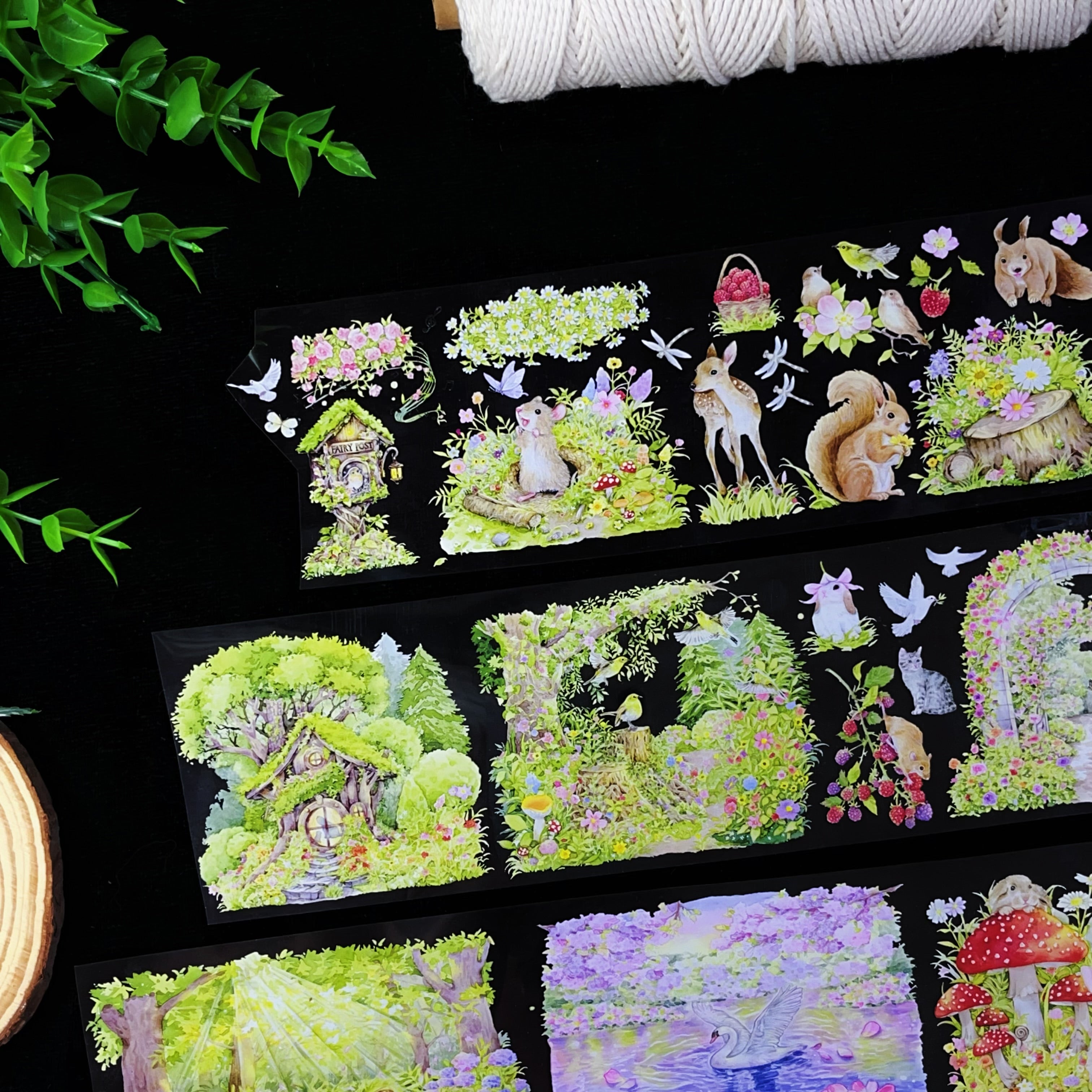 【XT】Walking through the seasons Landscaping Tape