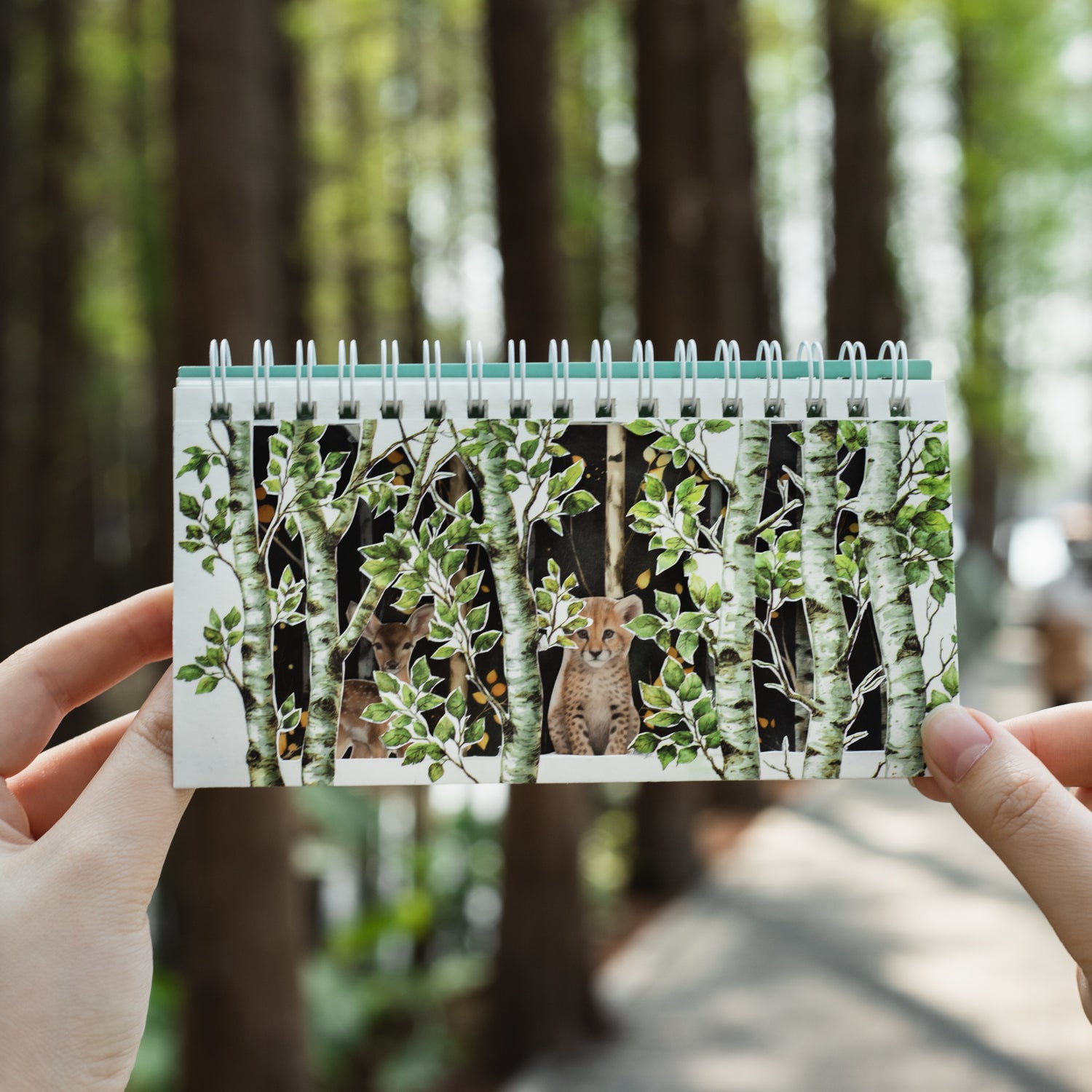 Secrets of the forest Washi Tape