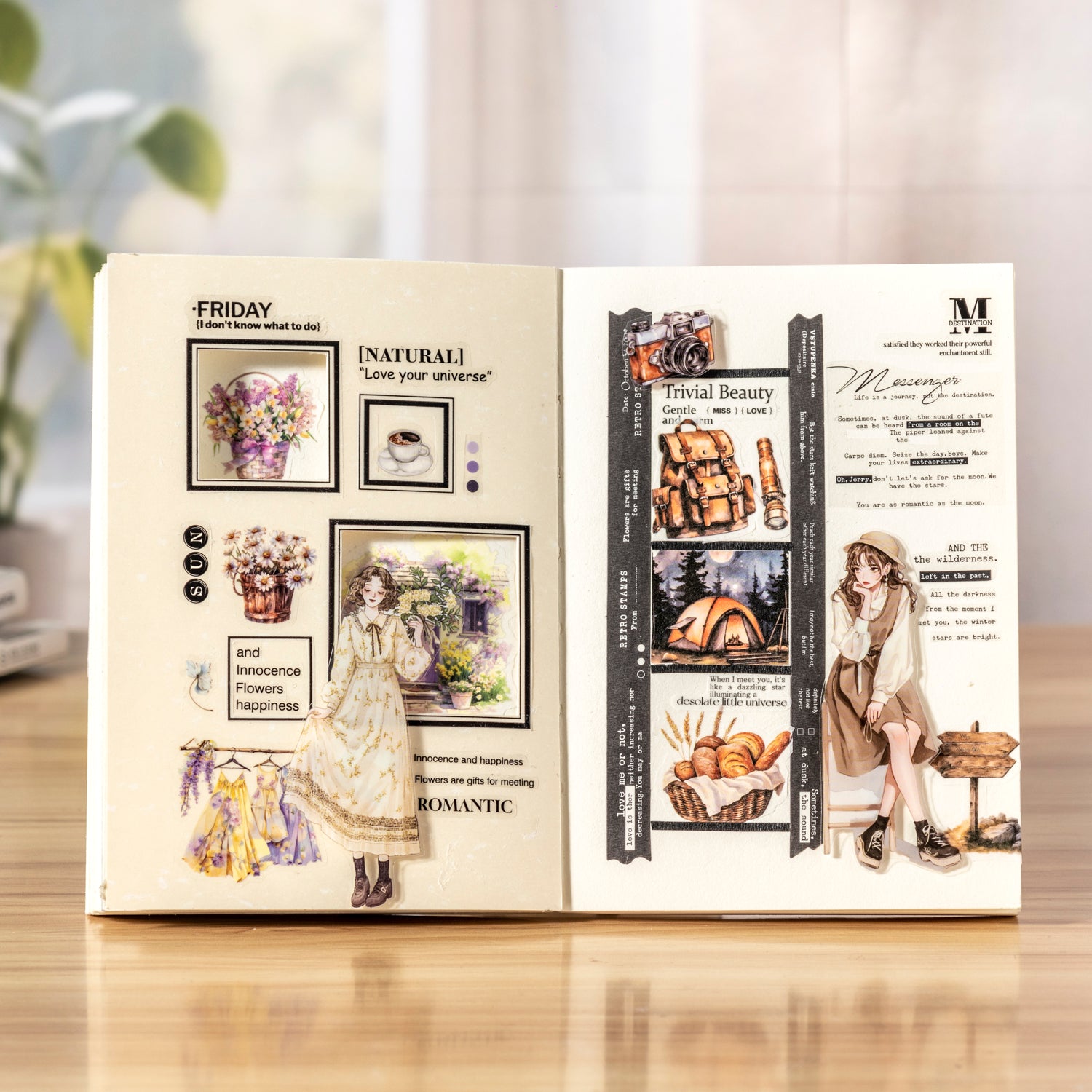 Changing Professional Sticker Books