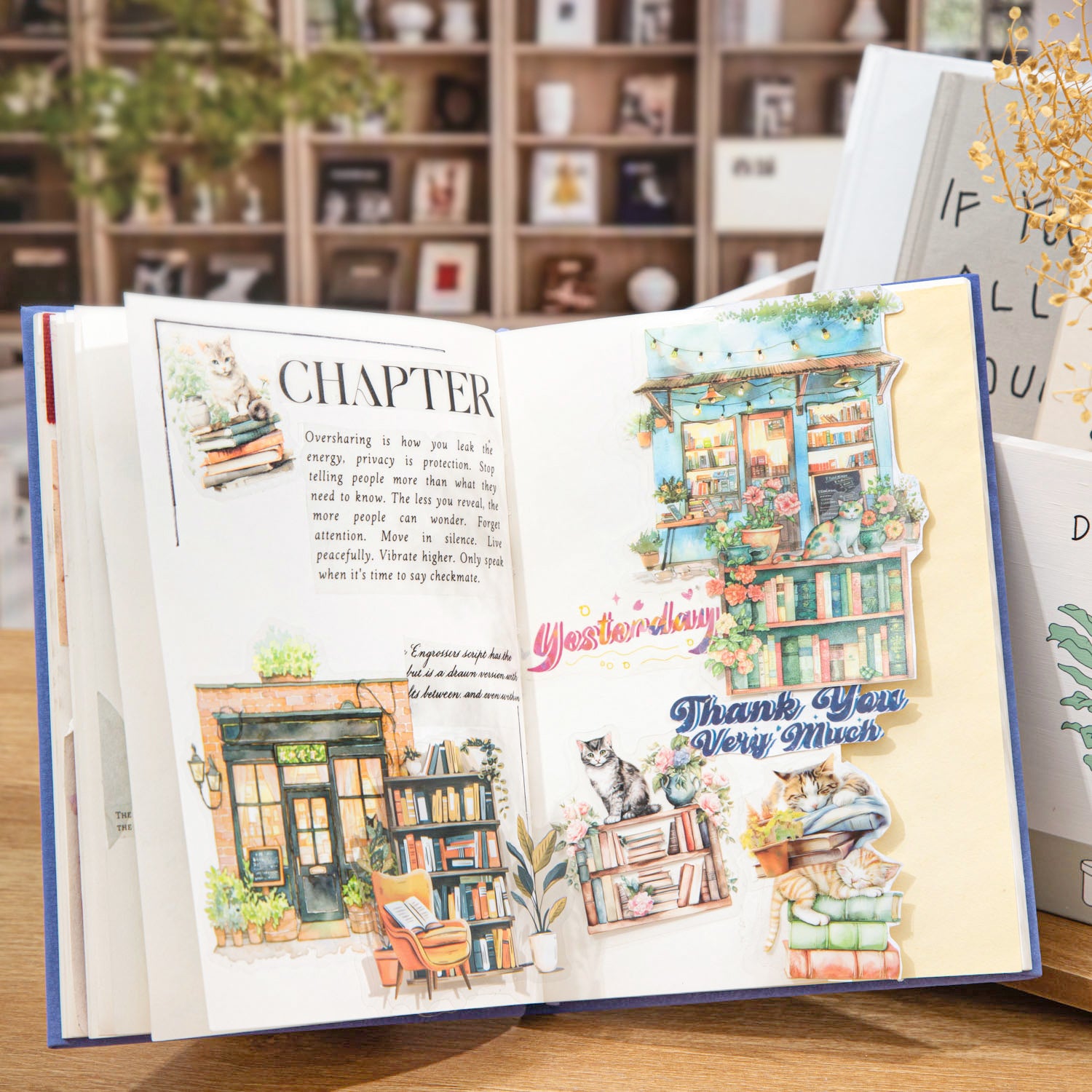 The Cat in The Bookstore PET Sticker