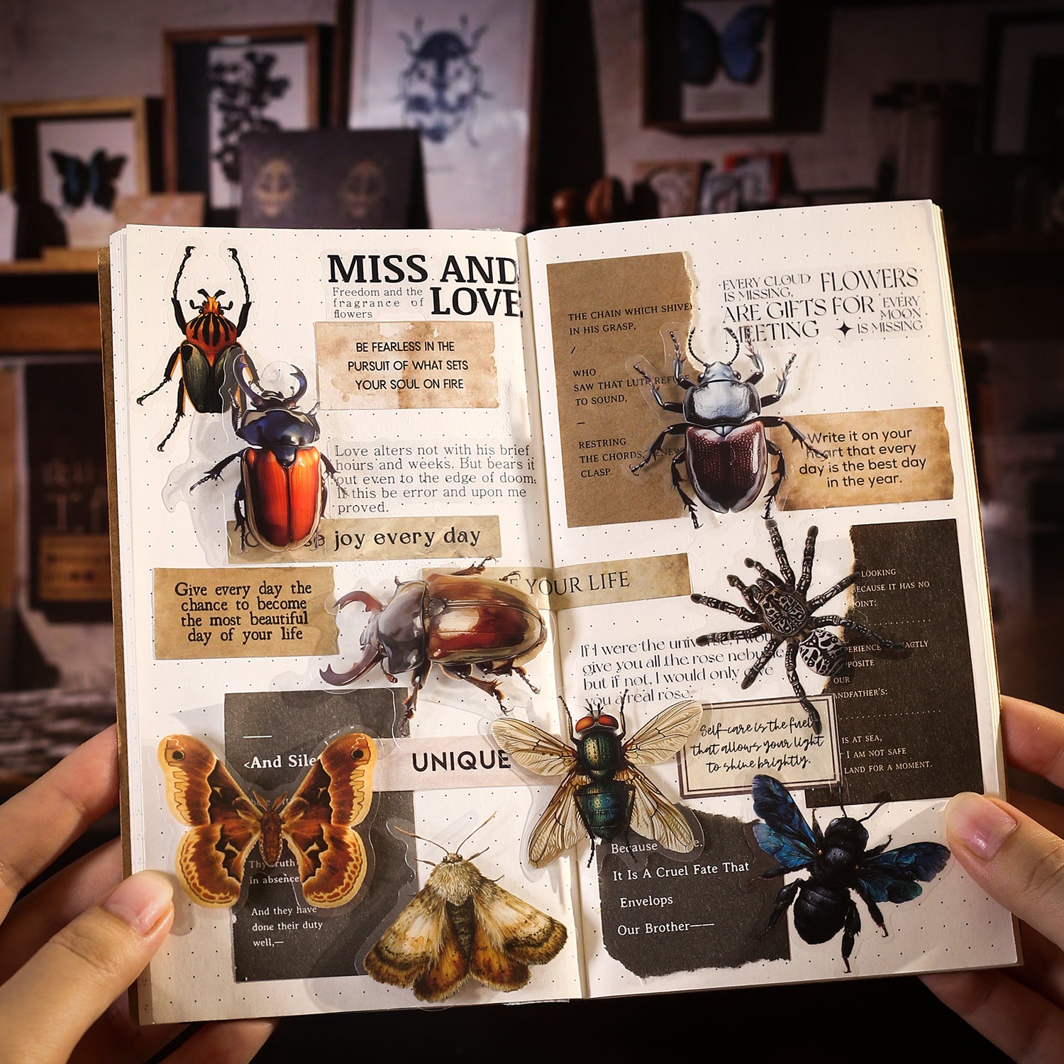 Insect Specimen Guidebook PET Sticker