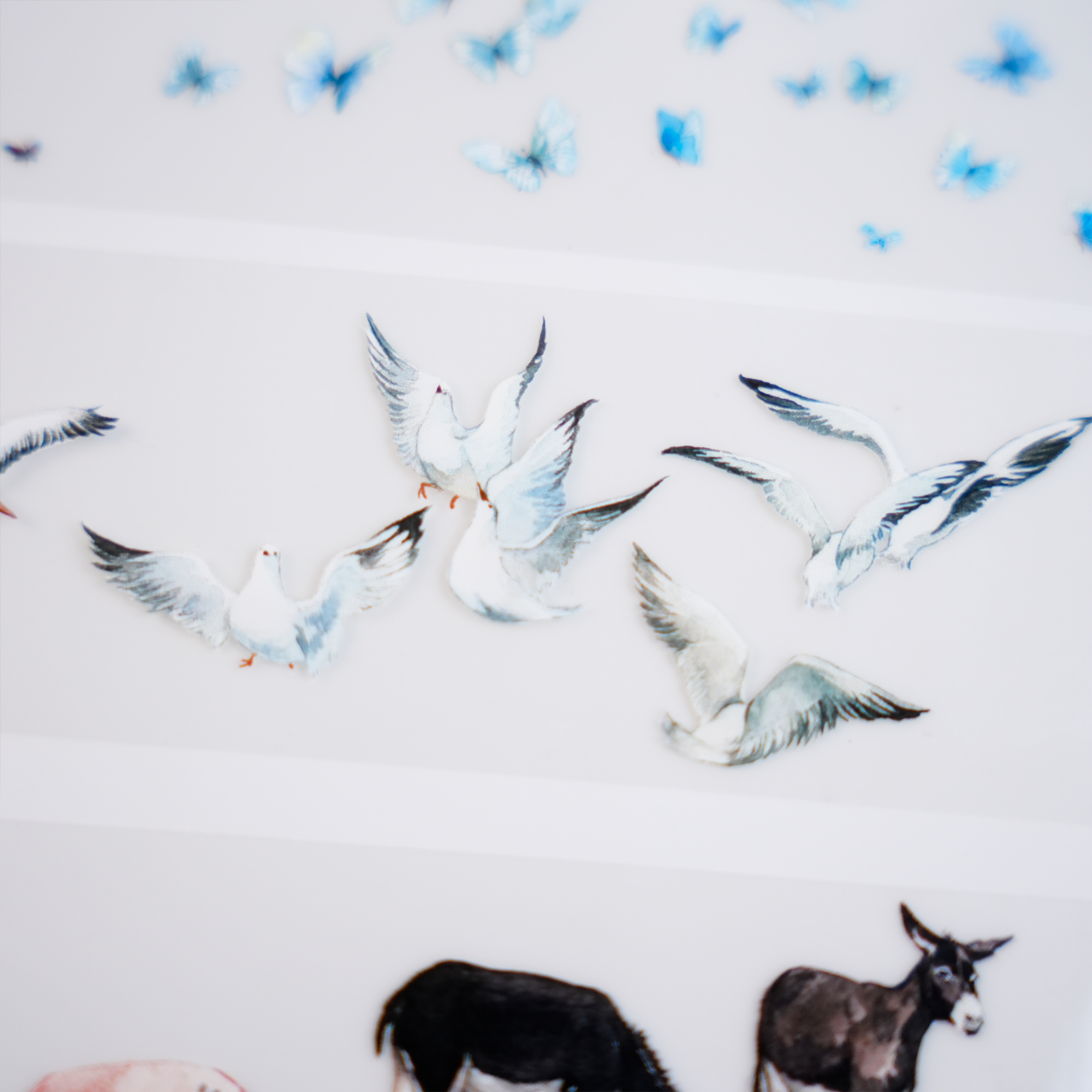 【ZERO】Animal Landscaping Tape (8 Styles)(Whole Roll Tape)