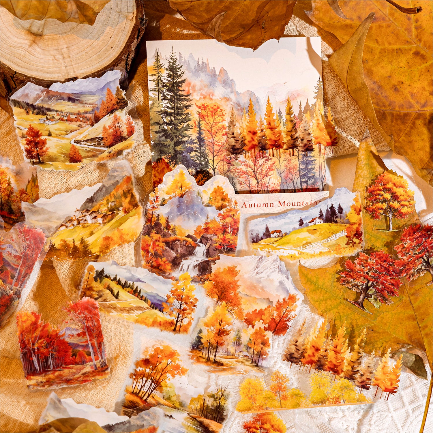 Forest and Forest Natural Series PET Sticker