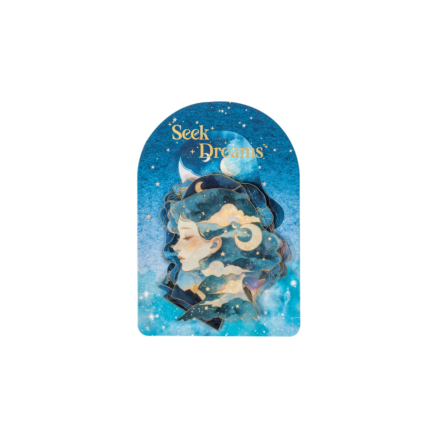 Glimmer of a Dream Starry Sky Theme PET Sticker