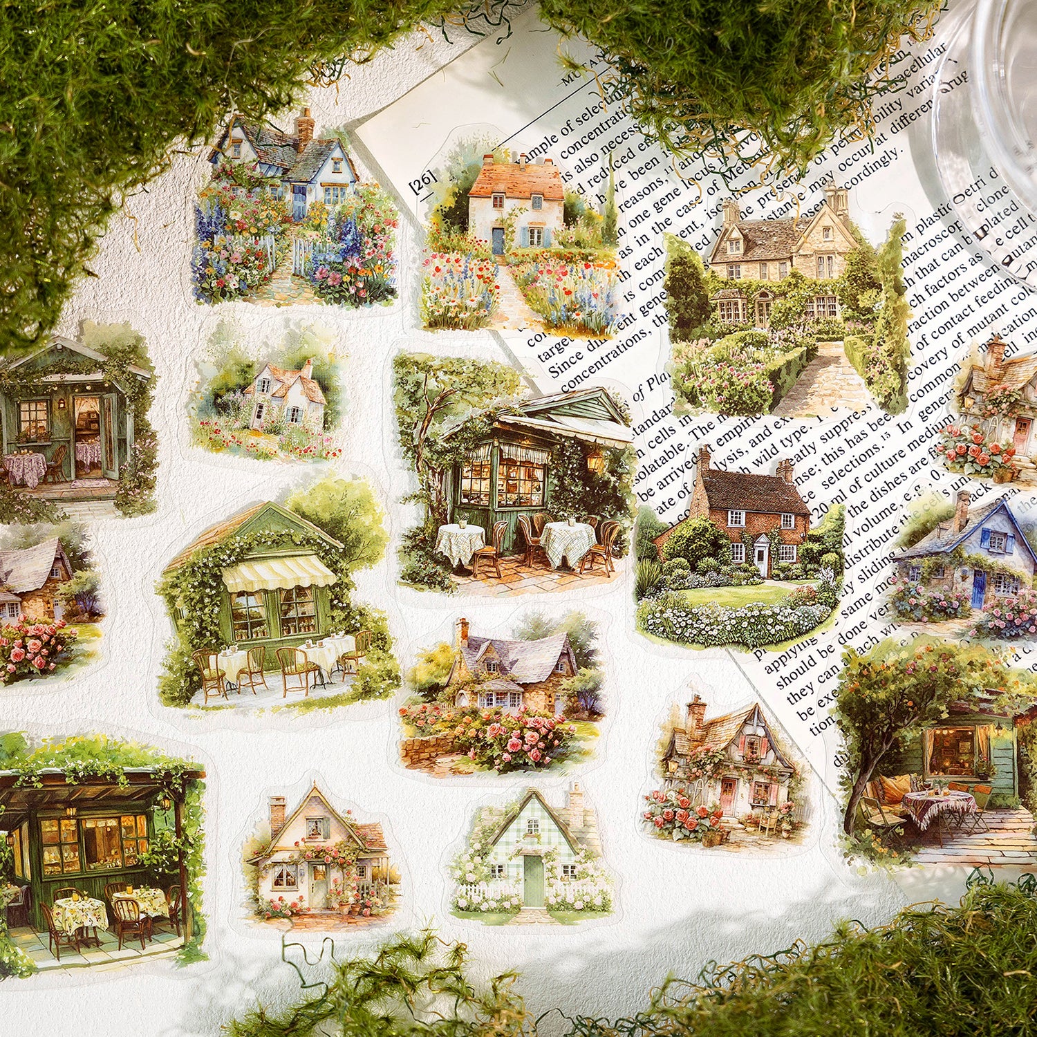 Forest Hut Nature Series PET Sticker