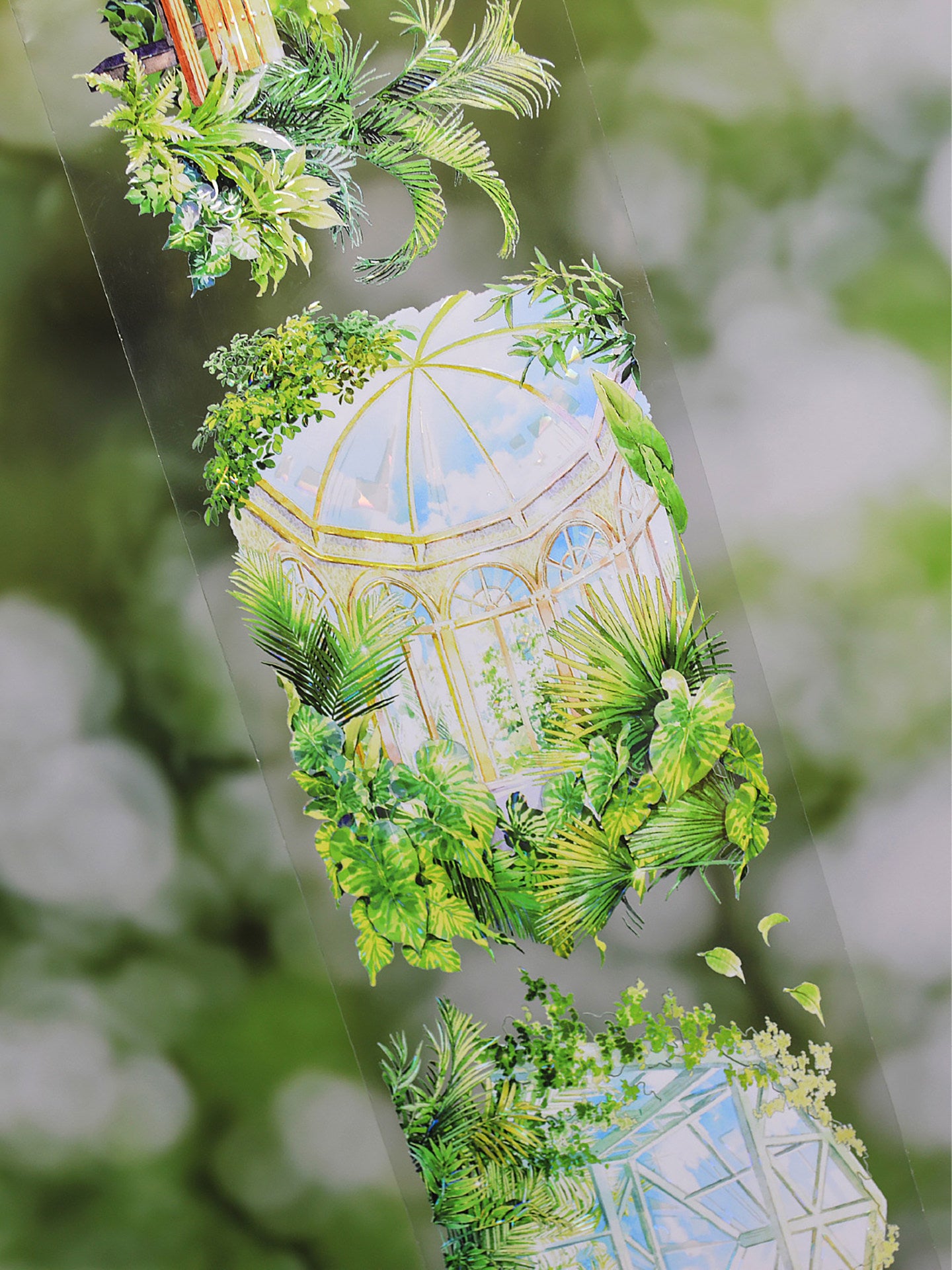 【OKTM】Oasis Landscape PET Tape