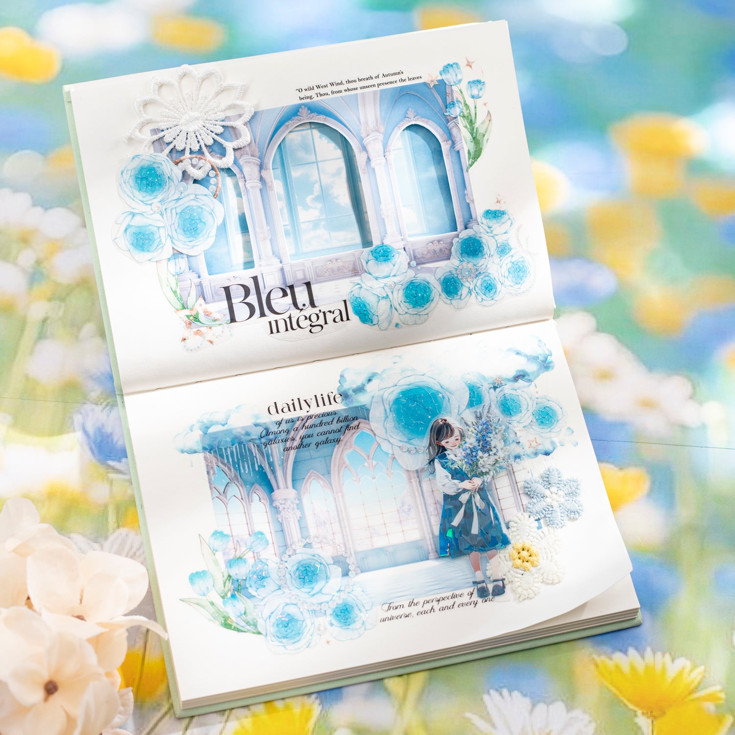 Window View PET Sticker