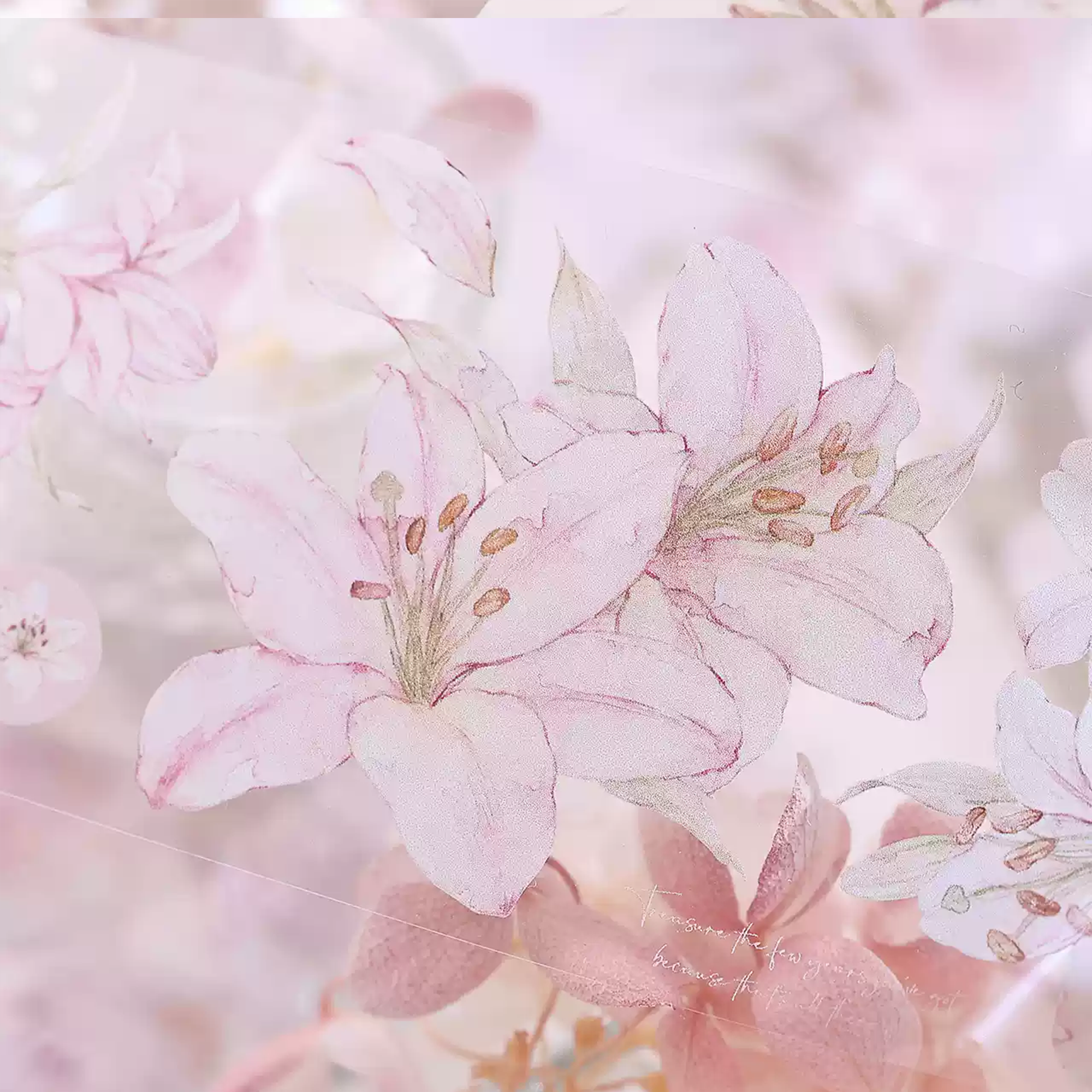 Pink Lily PET Tape (5.5cm*120cm)