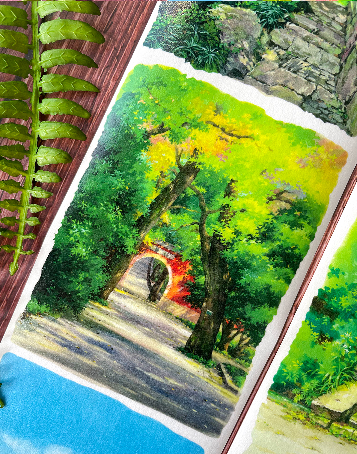 【NEW Studio】Shaded Path PET Tape (8cm x 170cm)