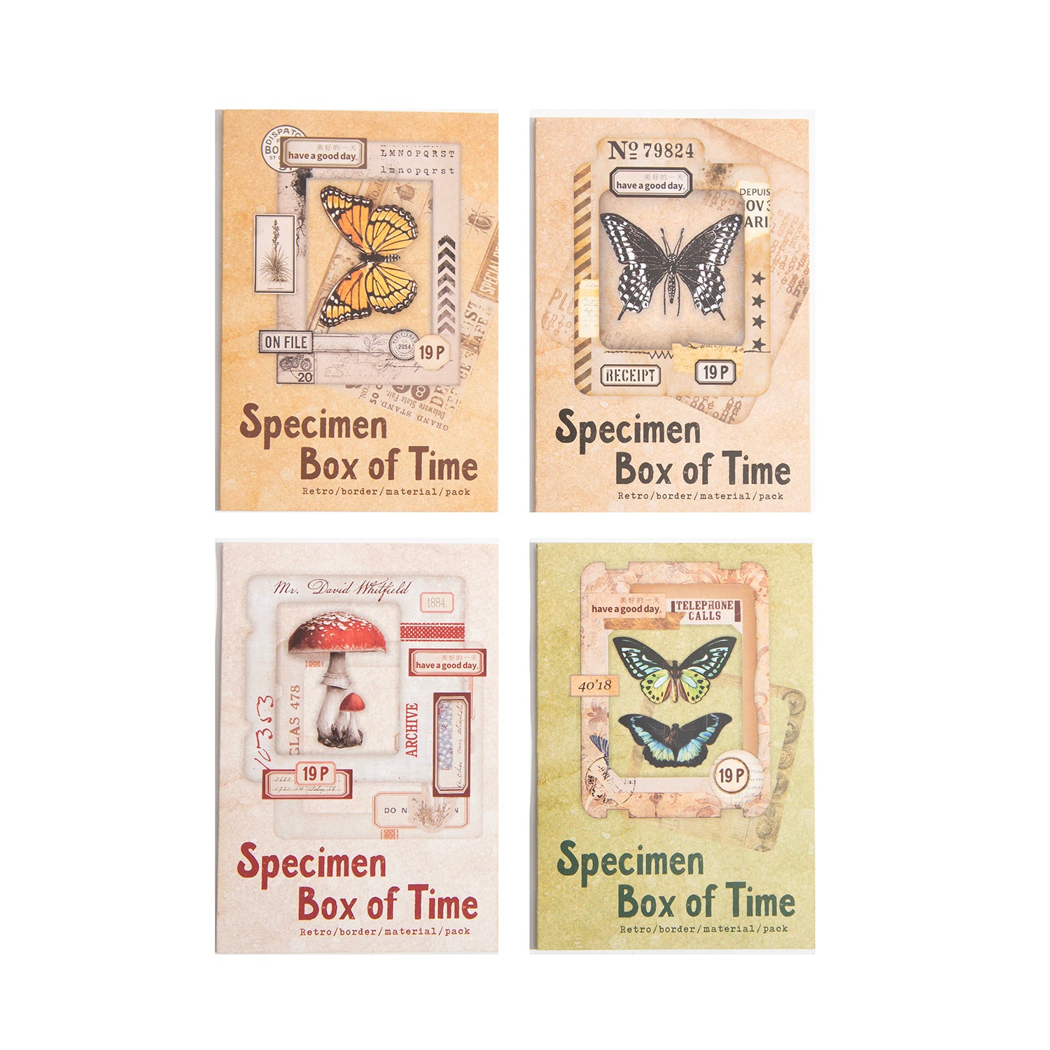 Specimen Box of Time Scrapbooking Paper