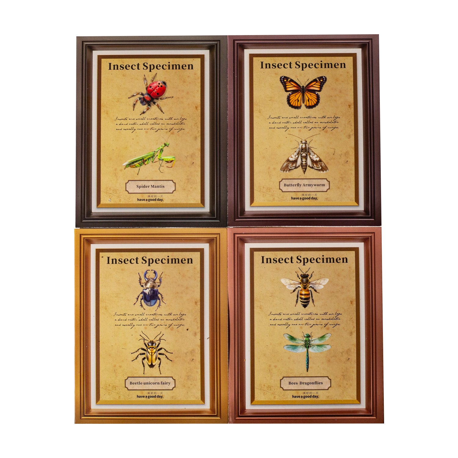 Insect Specimen Guidebook PET Sticker