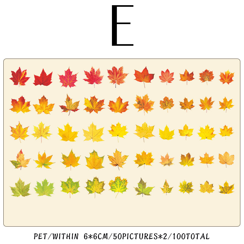 Four Seasons of leaves series sticker 100Pcs