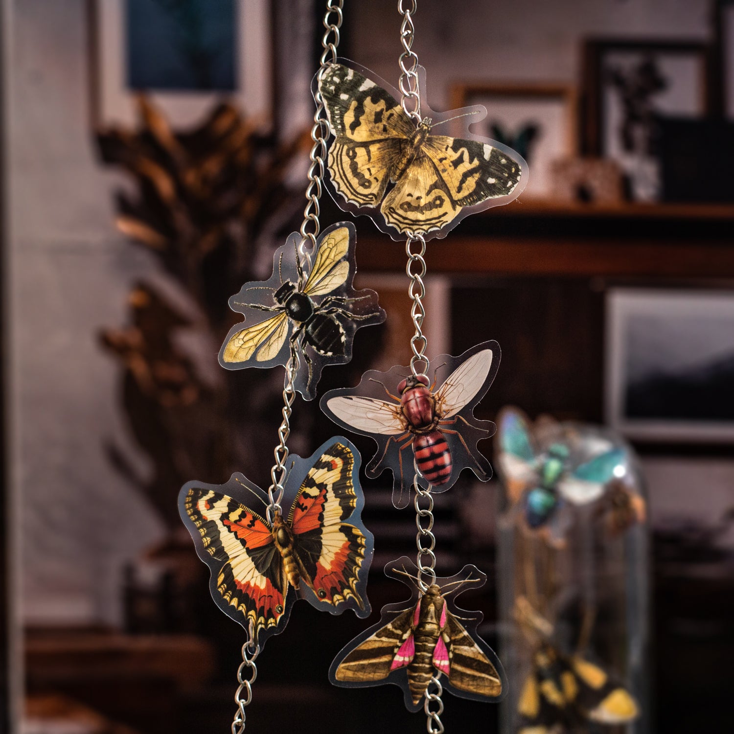 Insect Specimen Guidebook PET Sticker