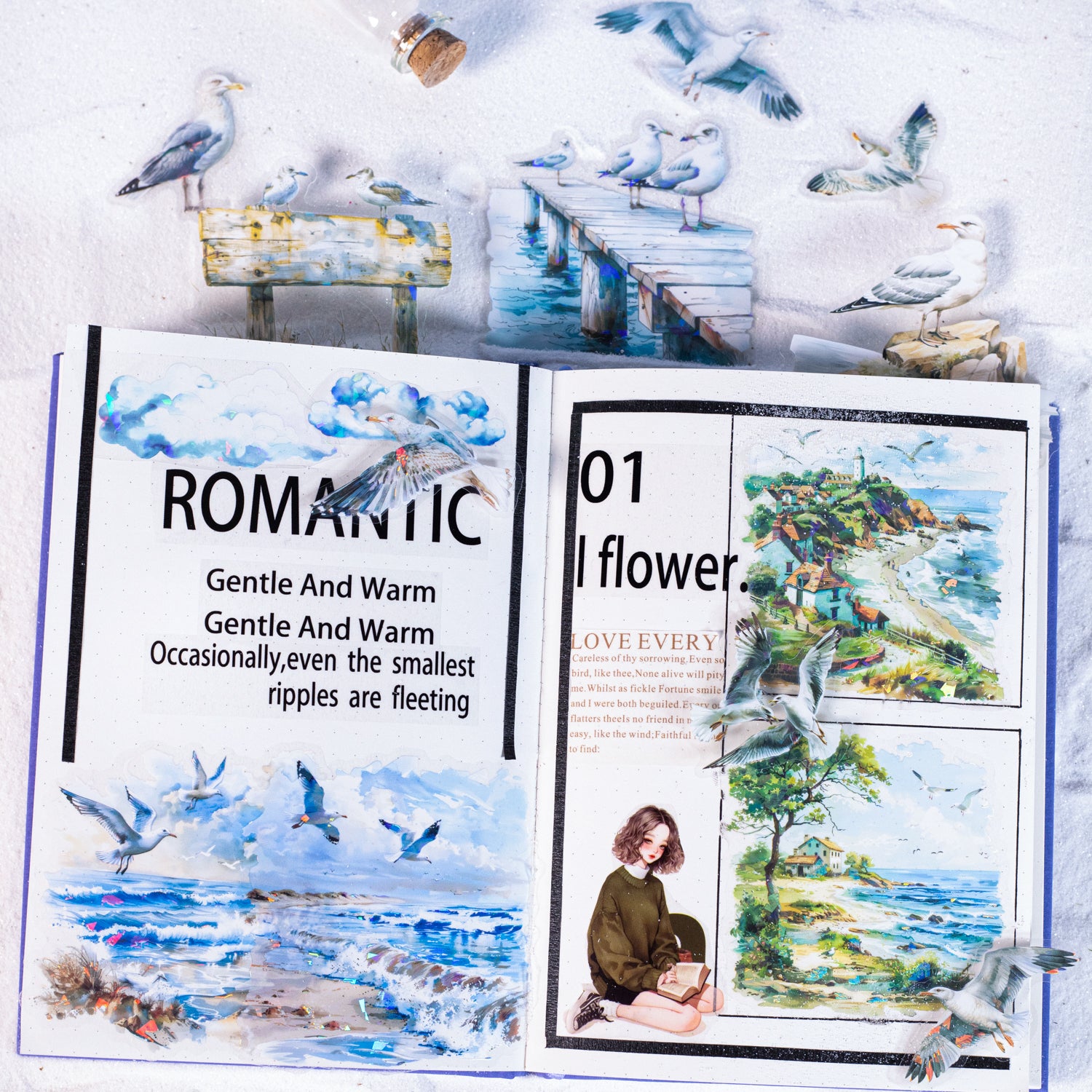 Let's See the Seagulls PET Sticker