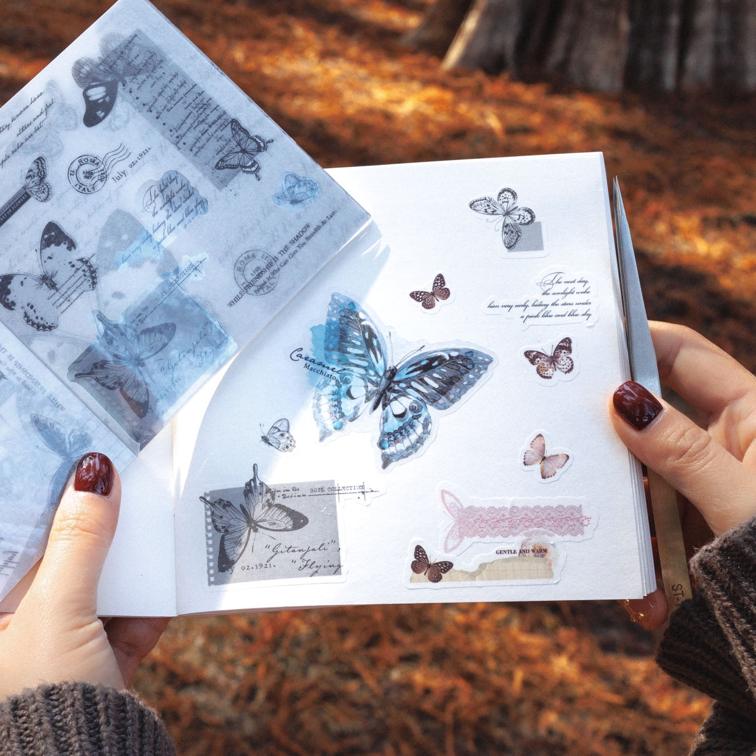 Butterfly Poem Pre-cut Washi&PET Sticker Book