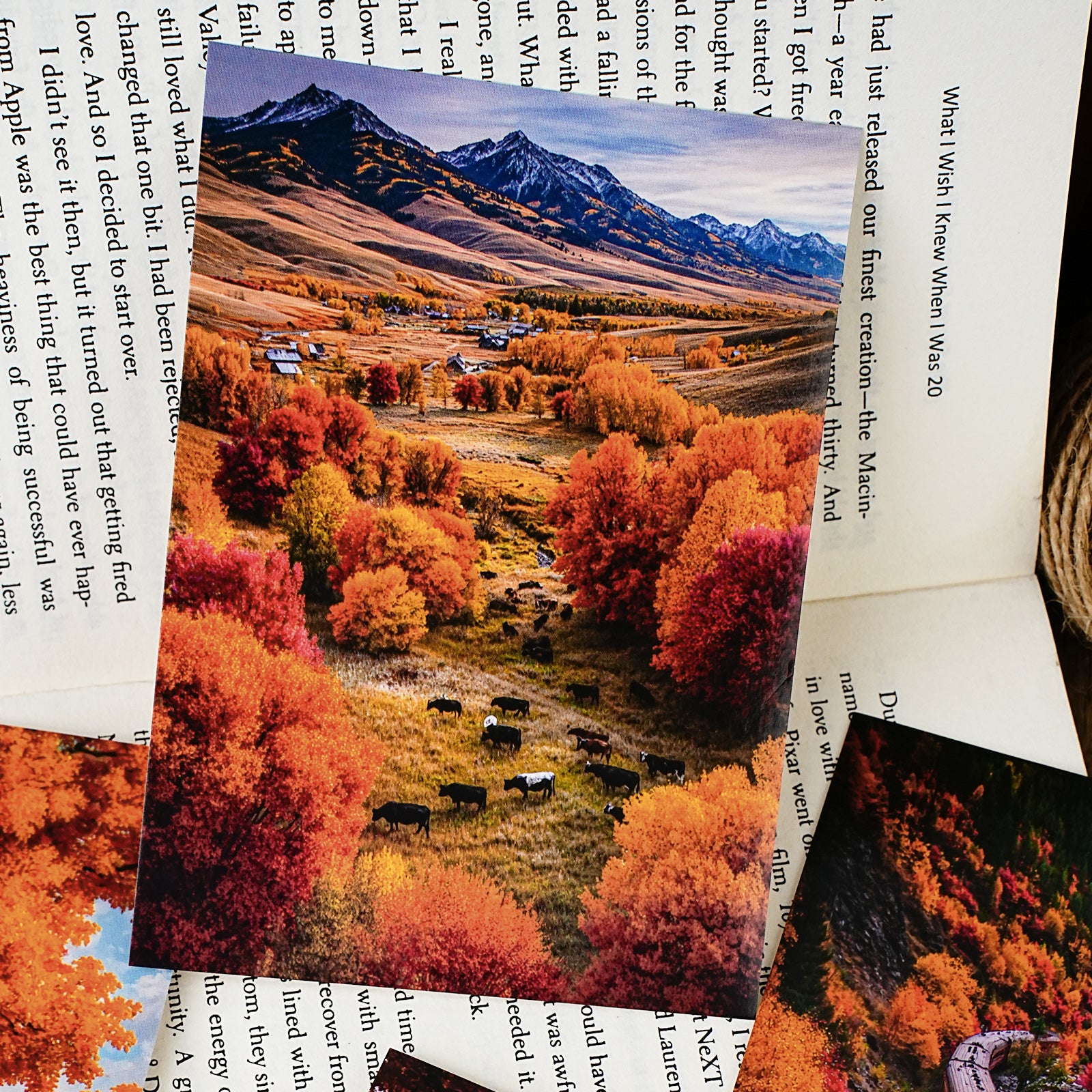 Natural Creation Series Scrapbooking Paper