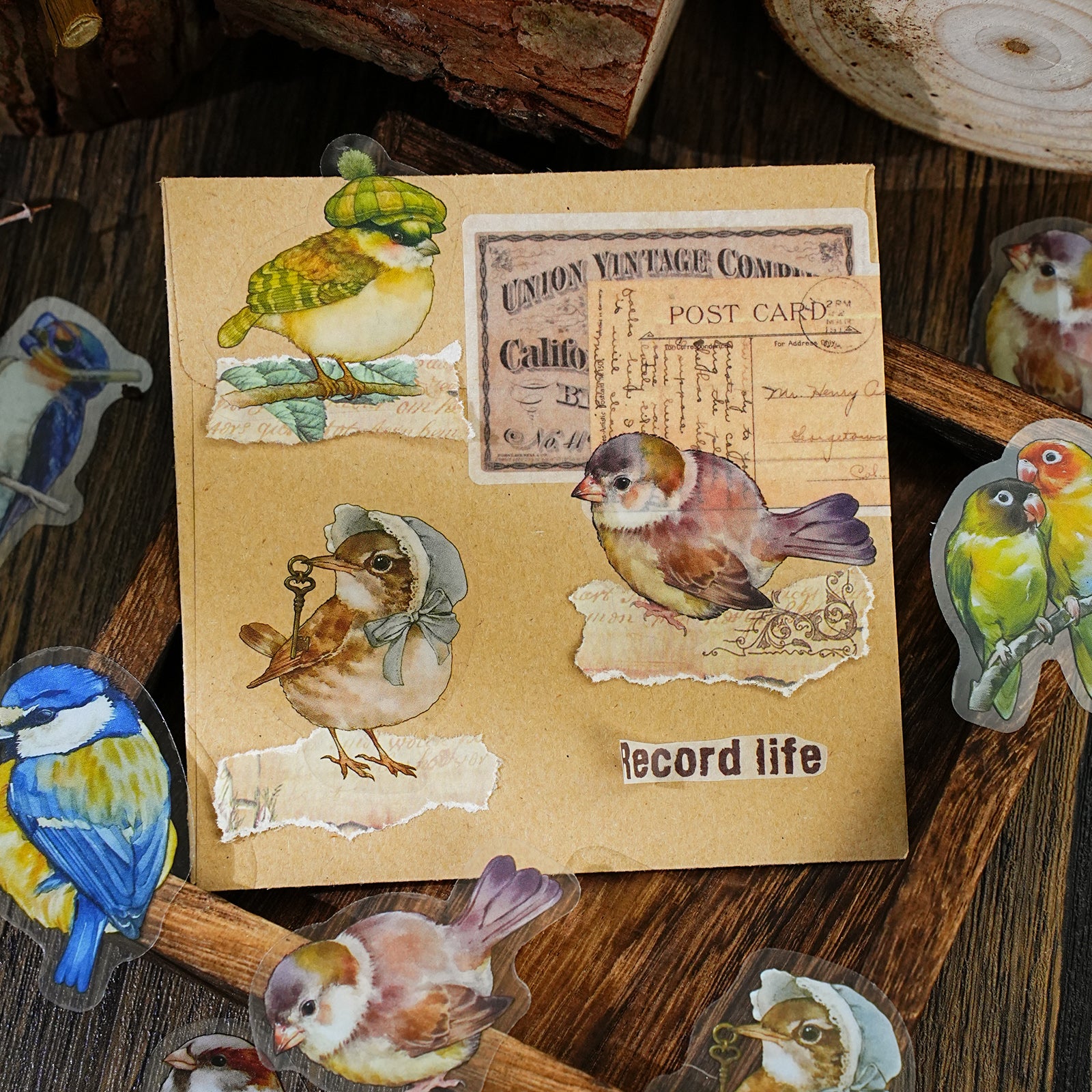 Colorful World PET Sticker