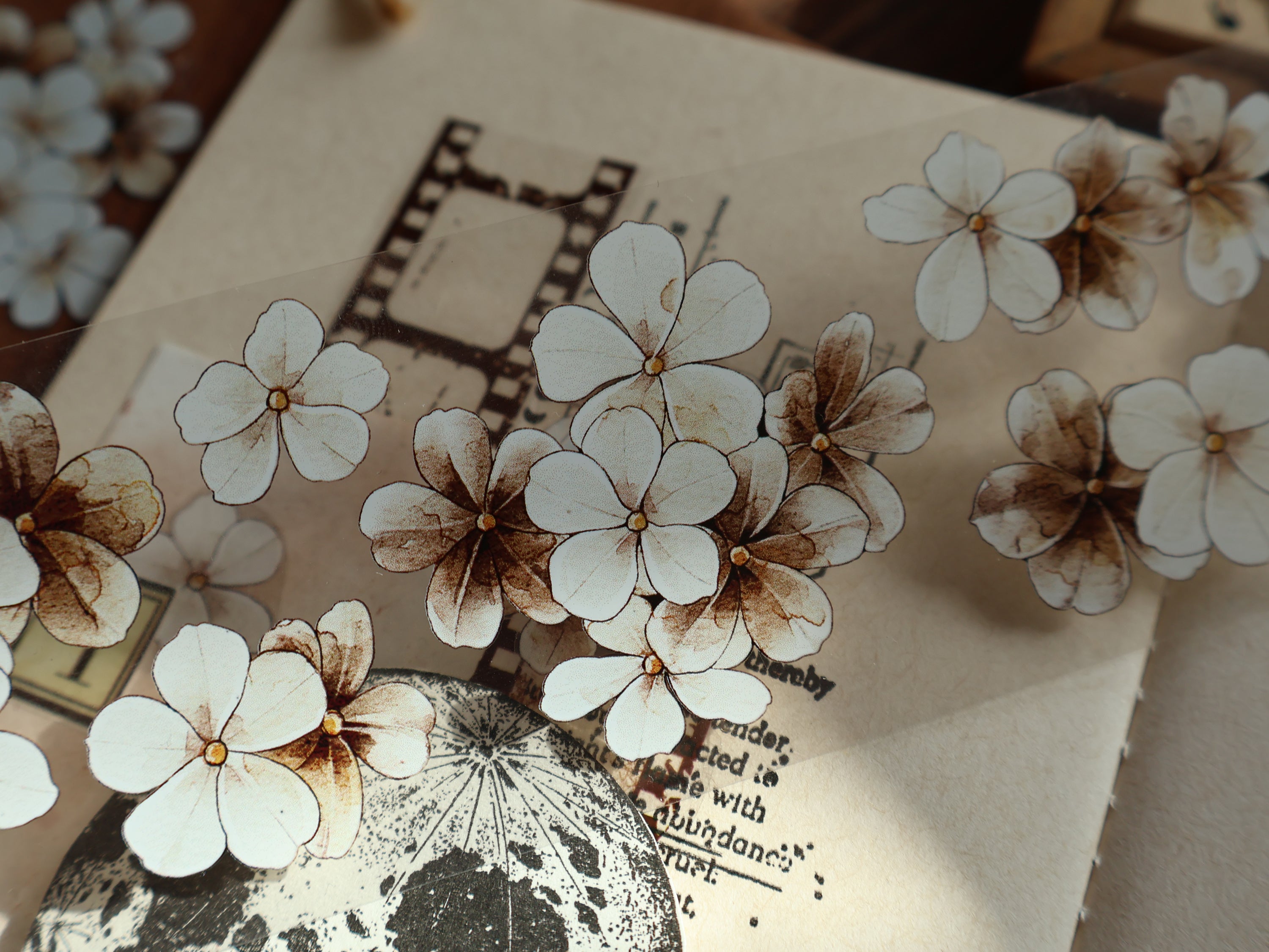 Evening Flowers Tape (5cm*100cm)