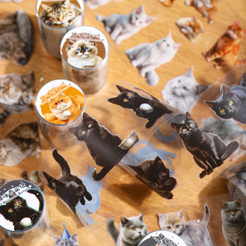 Cat Pre-cut  Scrap booking Journal PET Tape