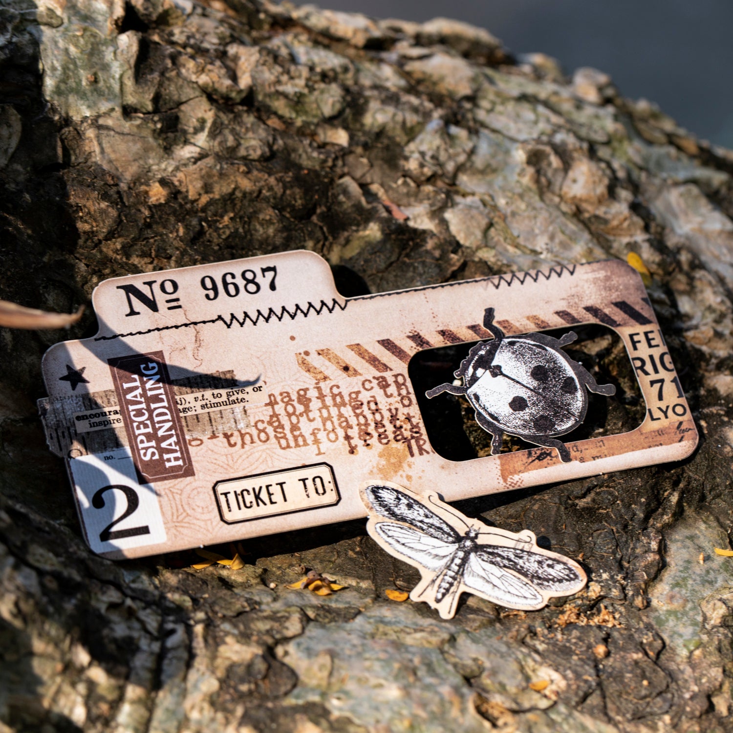 Specimen Box of Time Scrapbooking Paper