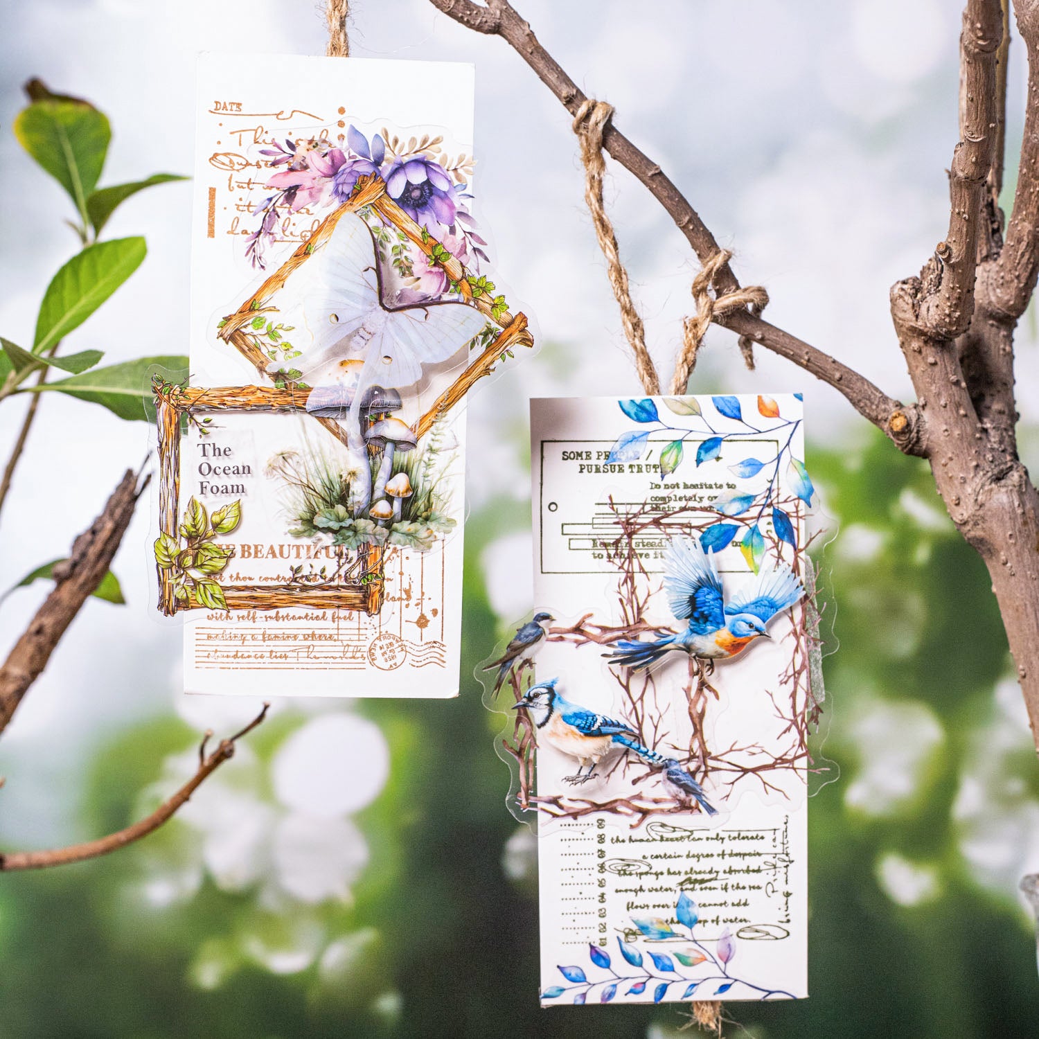 Forest Language Wooden Frame PET Sticker