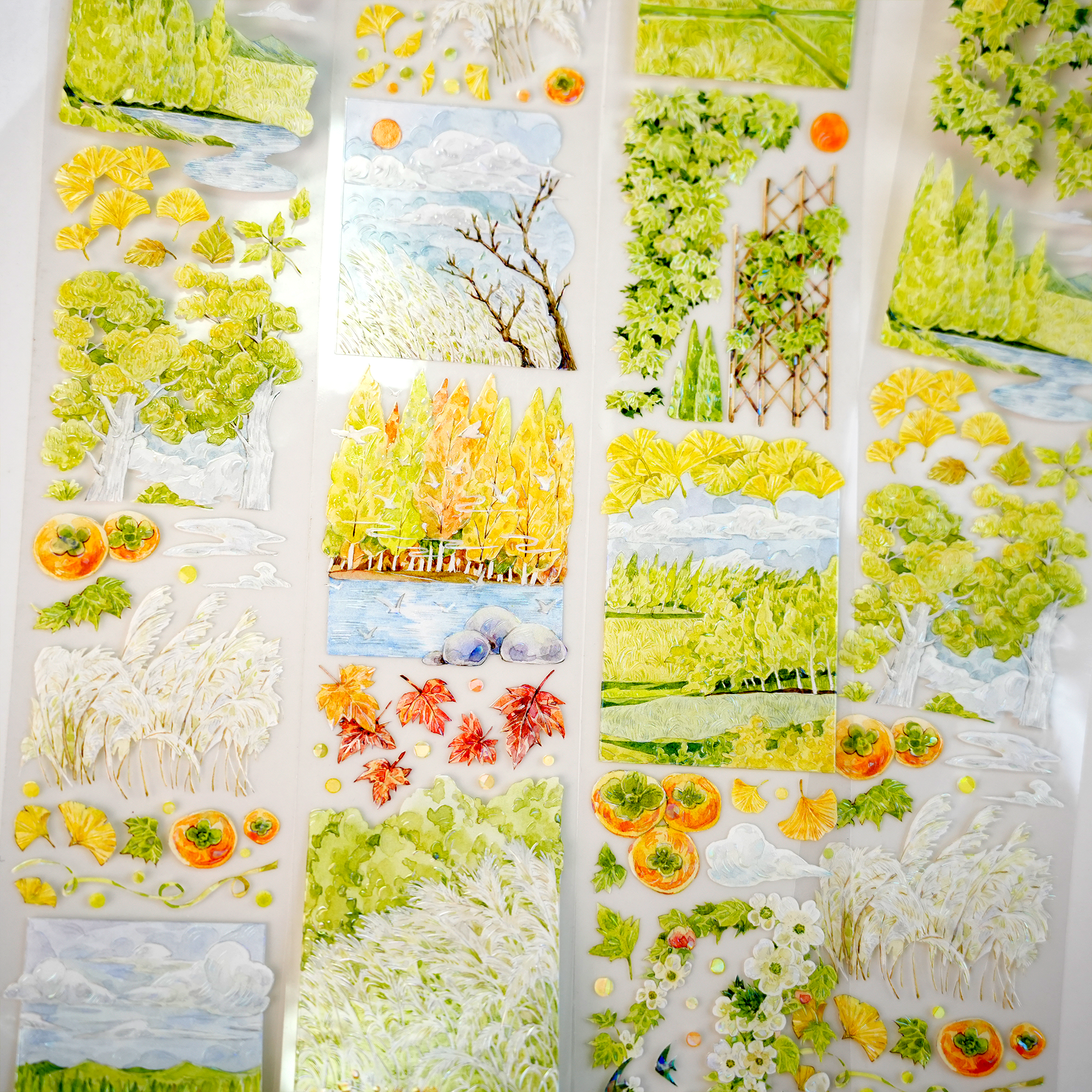 MIAOPAJI Studio Landscaping Tape (3 Style)