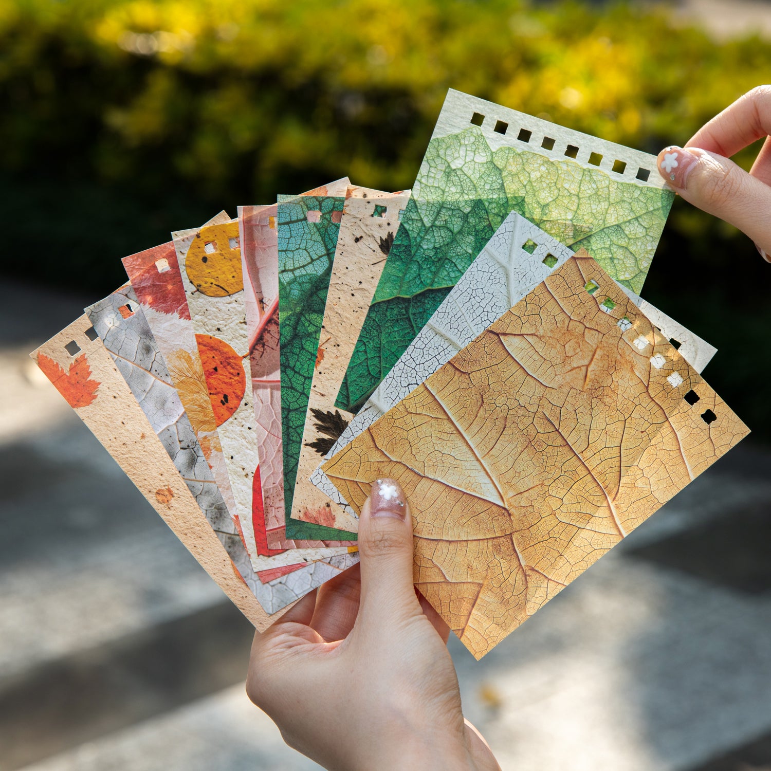 Whispers of Leaves Wirebound Book