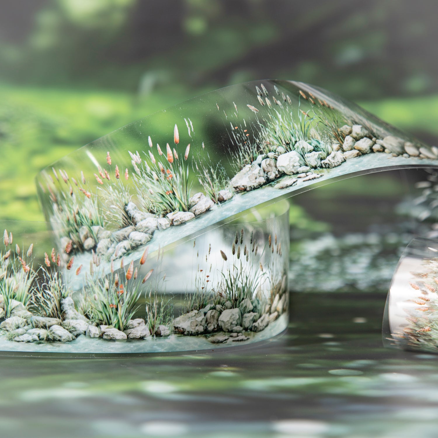 The banks of the Seine River PET Tape