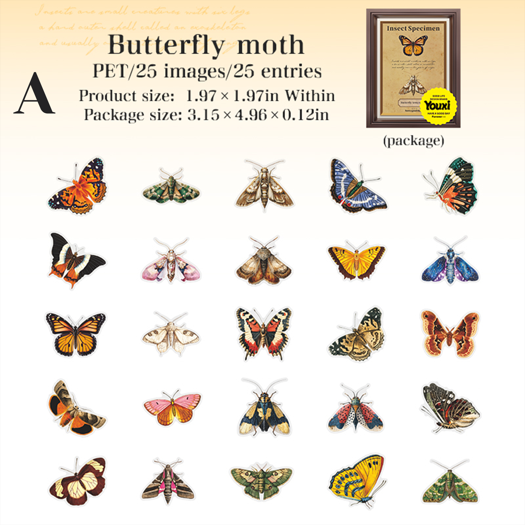 Insect Specimen Guidebook PET Sticker