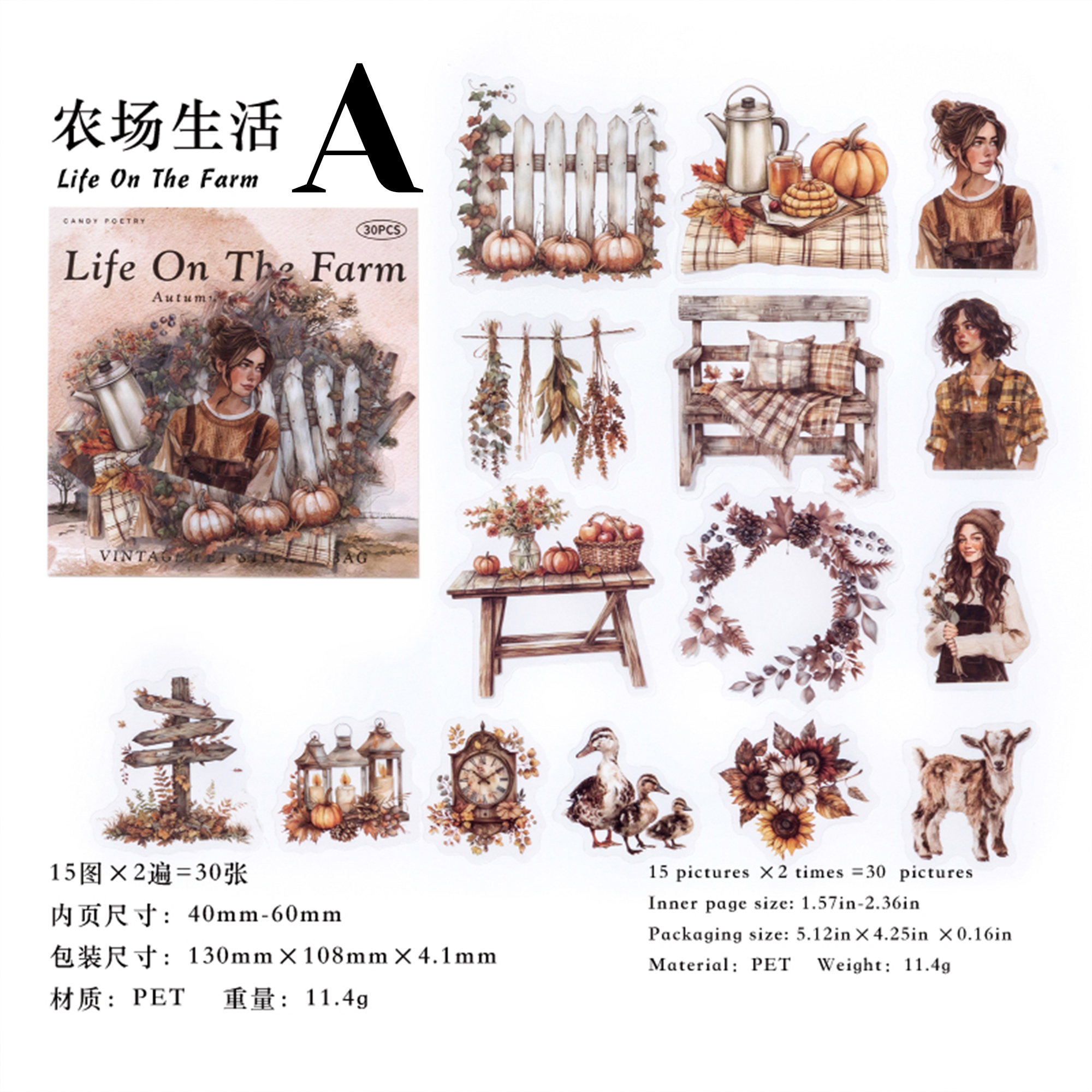 Life in Autumn PET Sticker