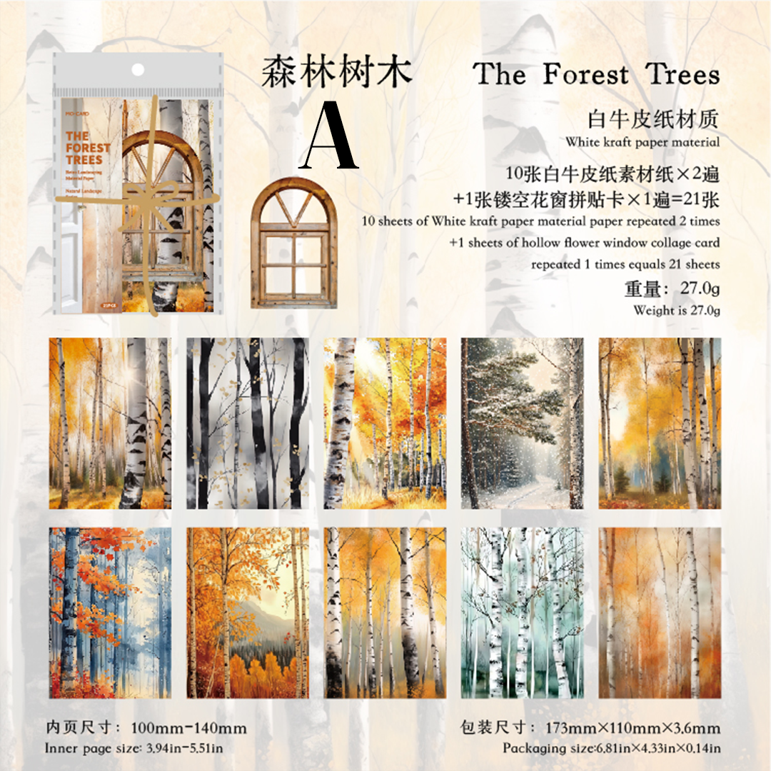 Natural Landscape Series Scrapbook Paper