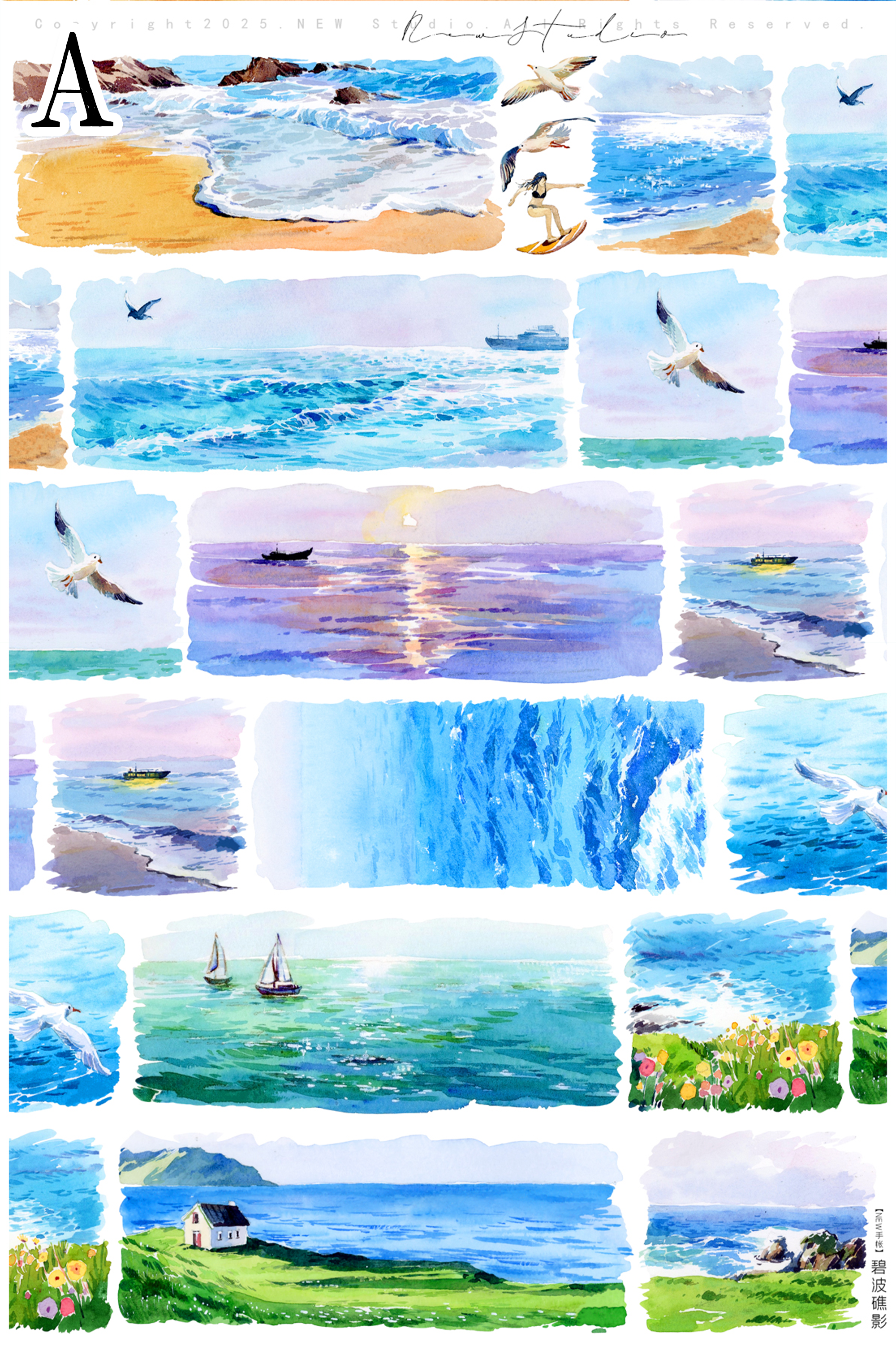 NEW Blue Reef and Sea Tide PET Tape (7cm* 140cm)