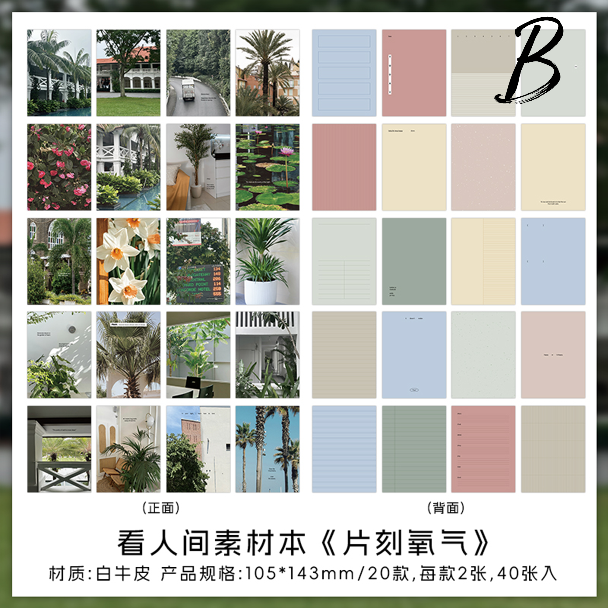 Mortal World Magazine Scrapbooking Book