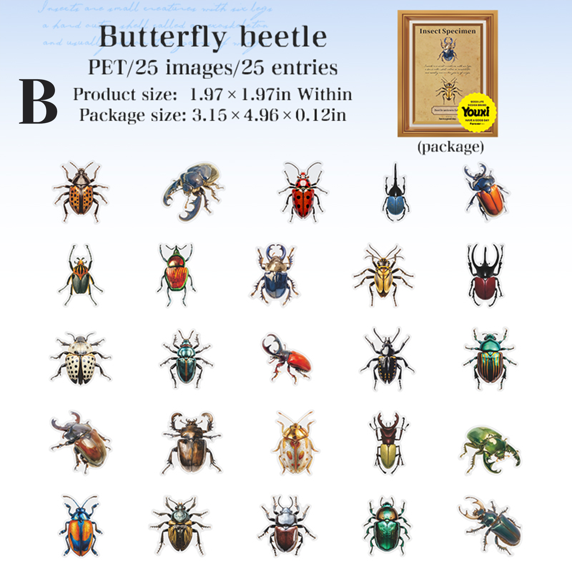 Insect Specimen Guidebook PET Sticker