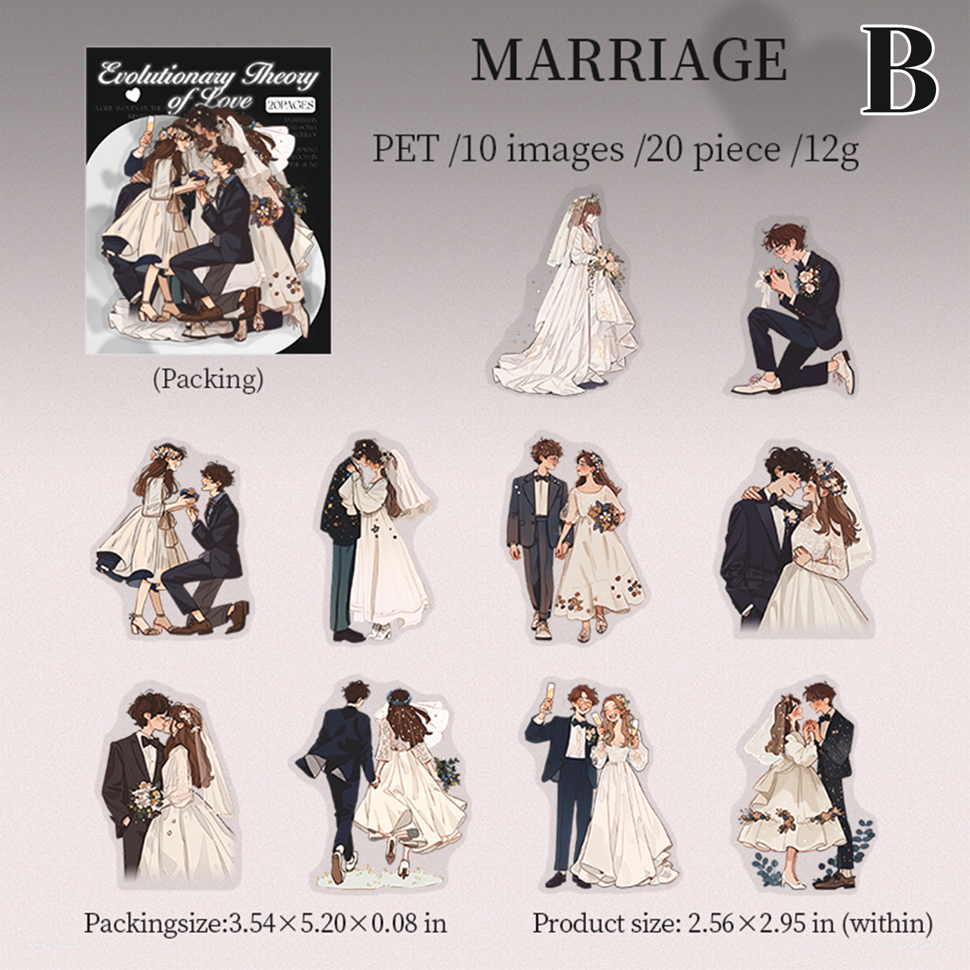 Evolution of Love PET Sticker