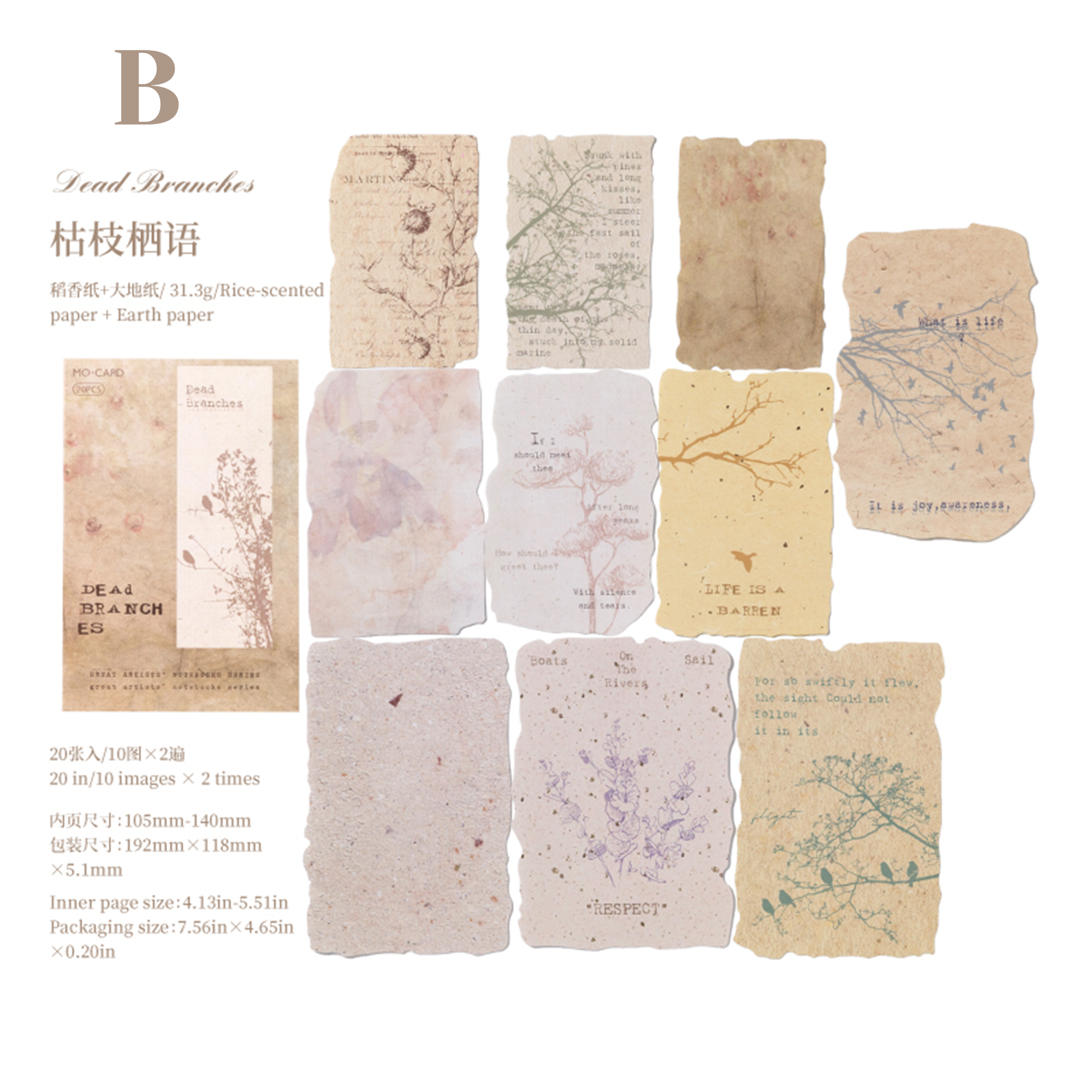 Artist's Notes Scrapbooking Paper
