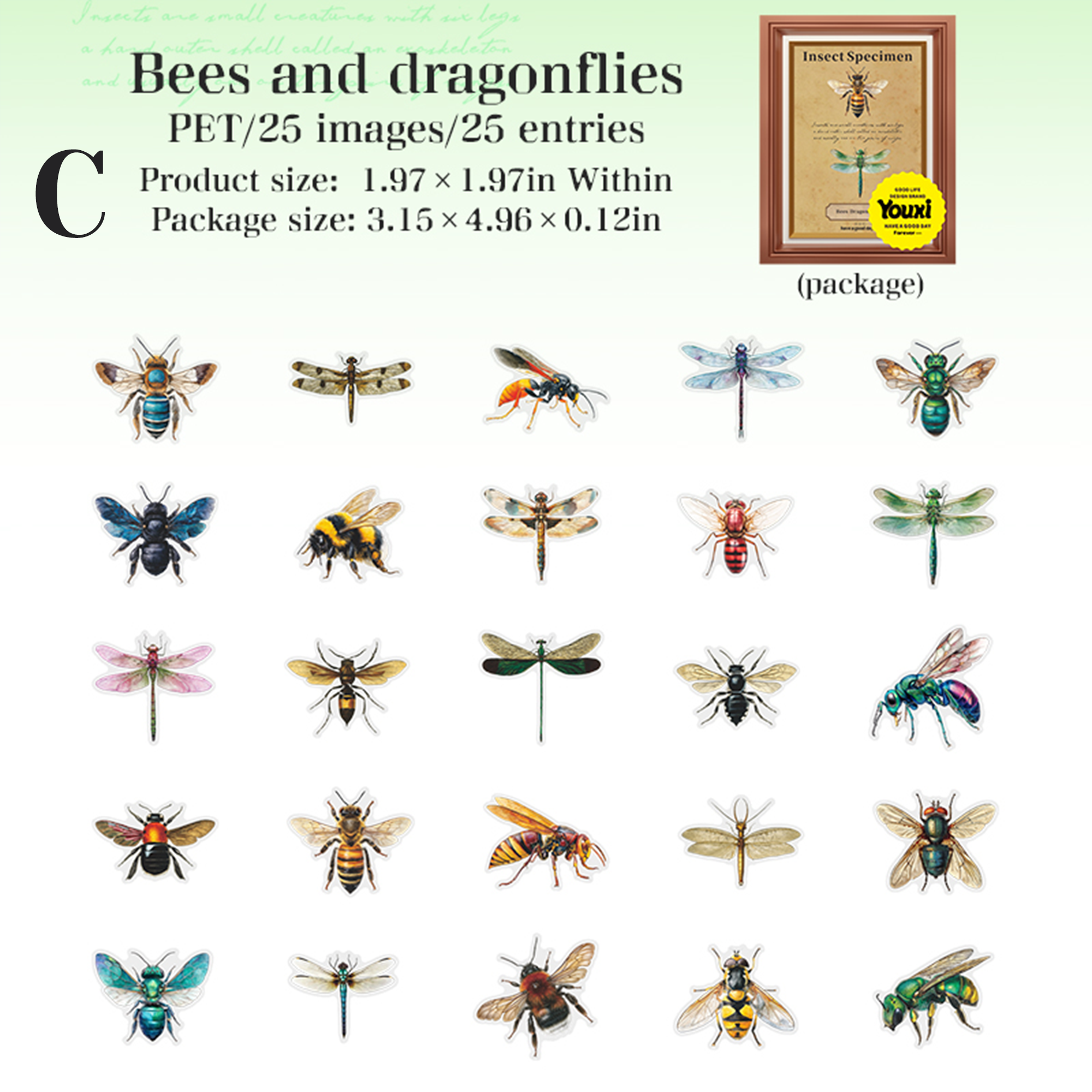 Insect Specimen Guidebook PET Sticker