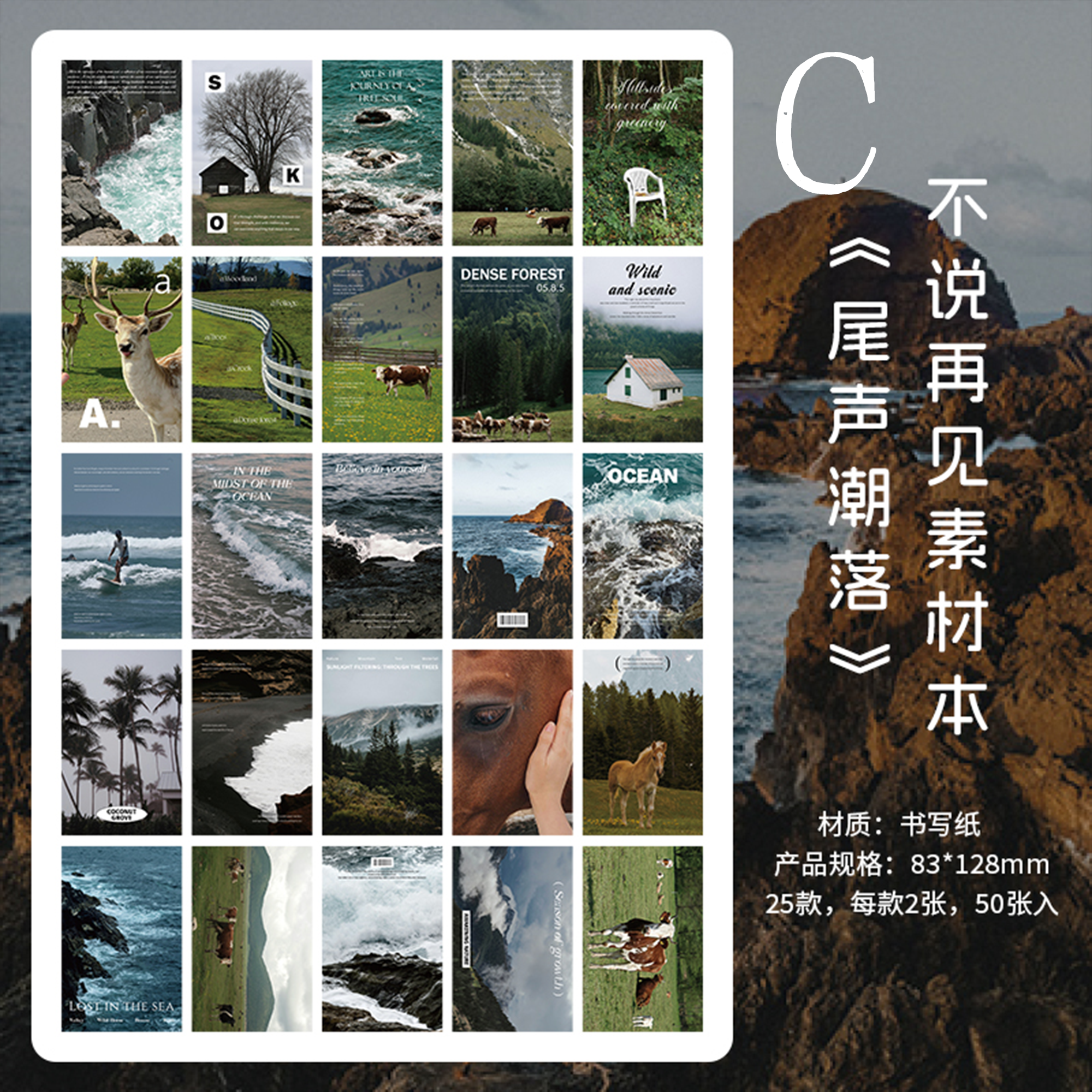 Don't Say Goodbye Paper Book