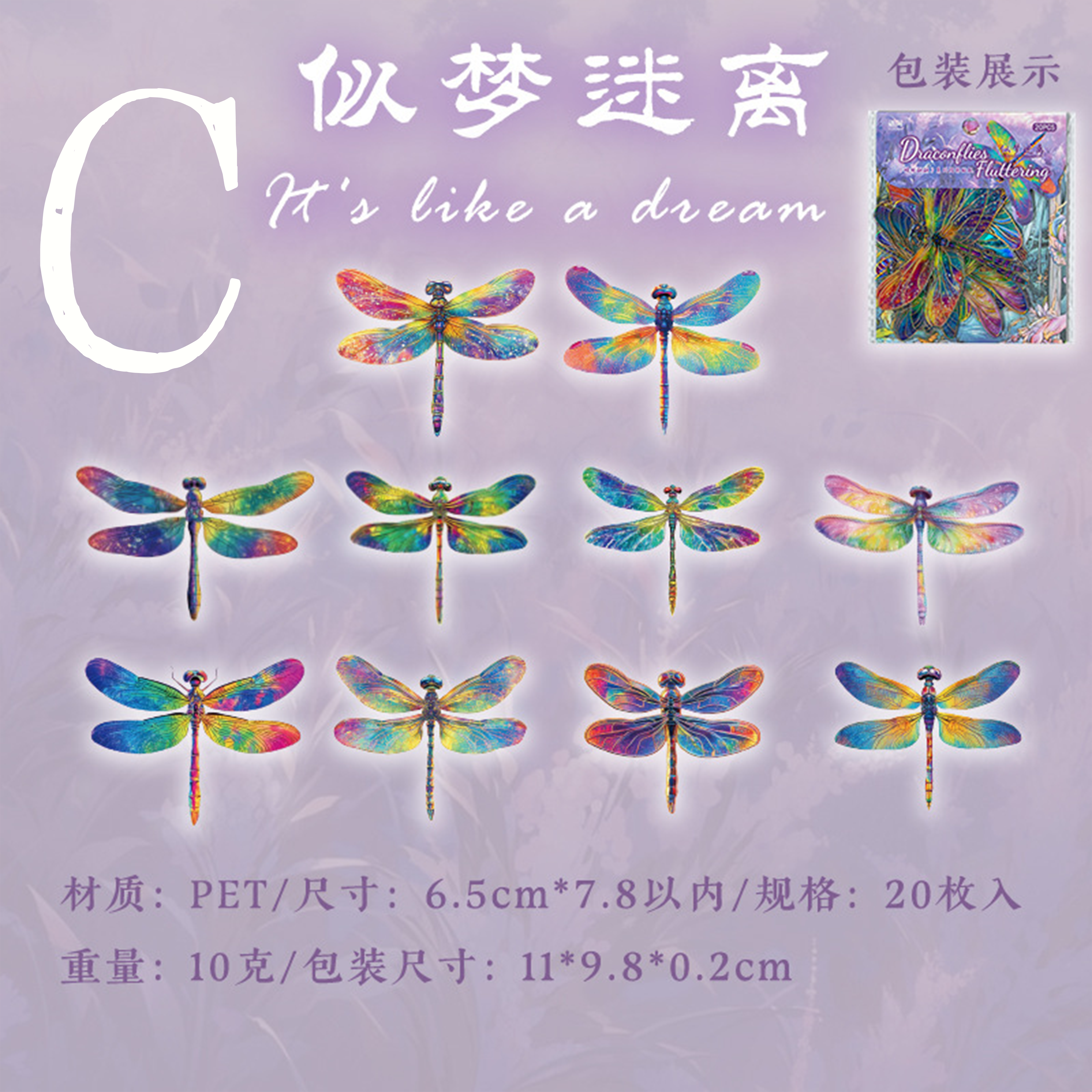 Colorful Dragonfly PET Sticker