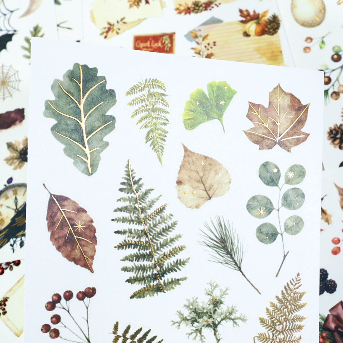 Autumn Herbarium Vintage Sticker Book